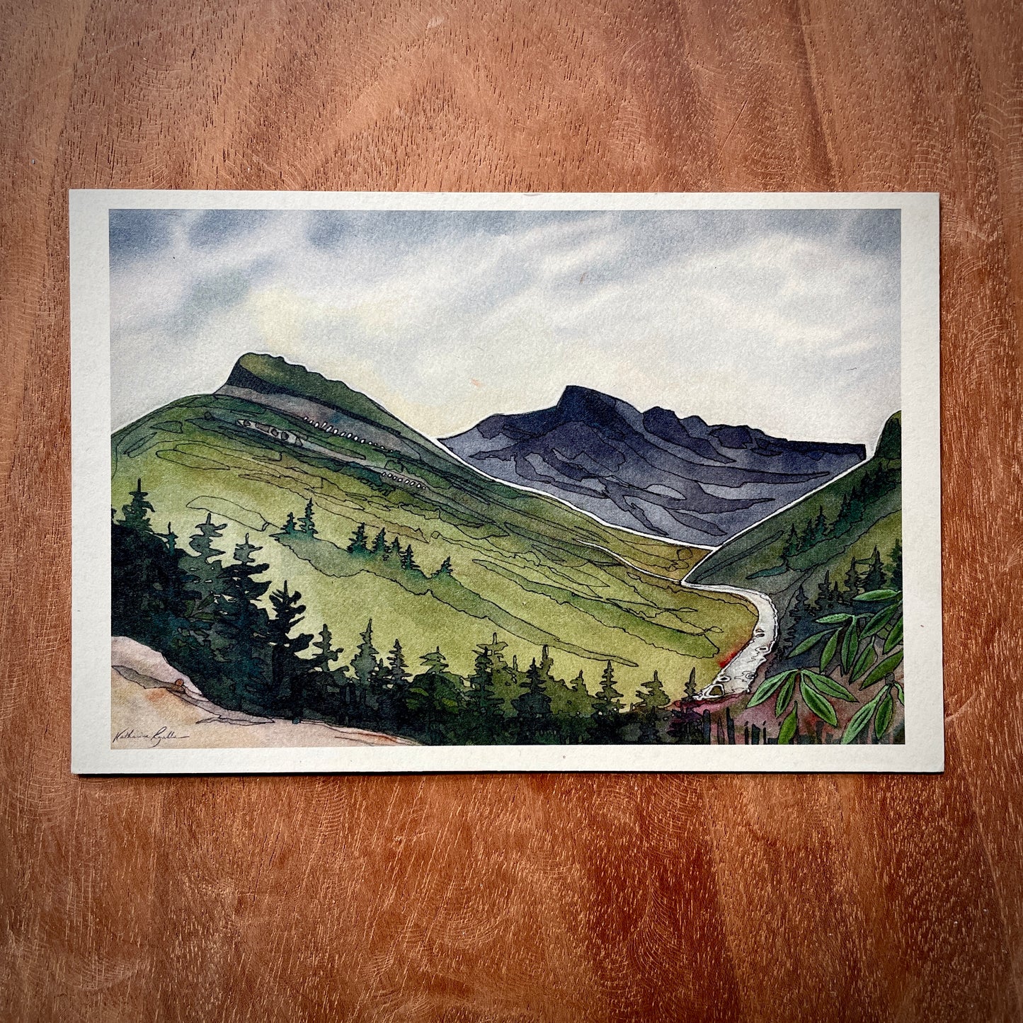 Linville Gorge Wilderness Babel Tower POSTCARD of plants and scenes the Blue Ridge Mountains