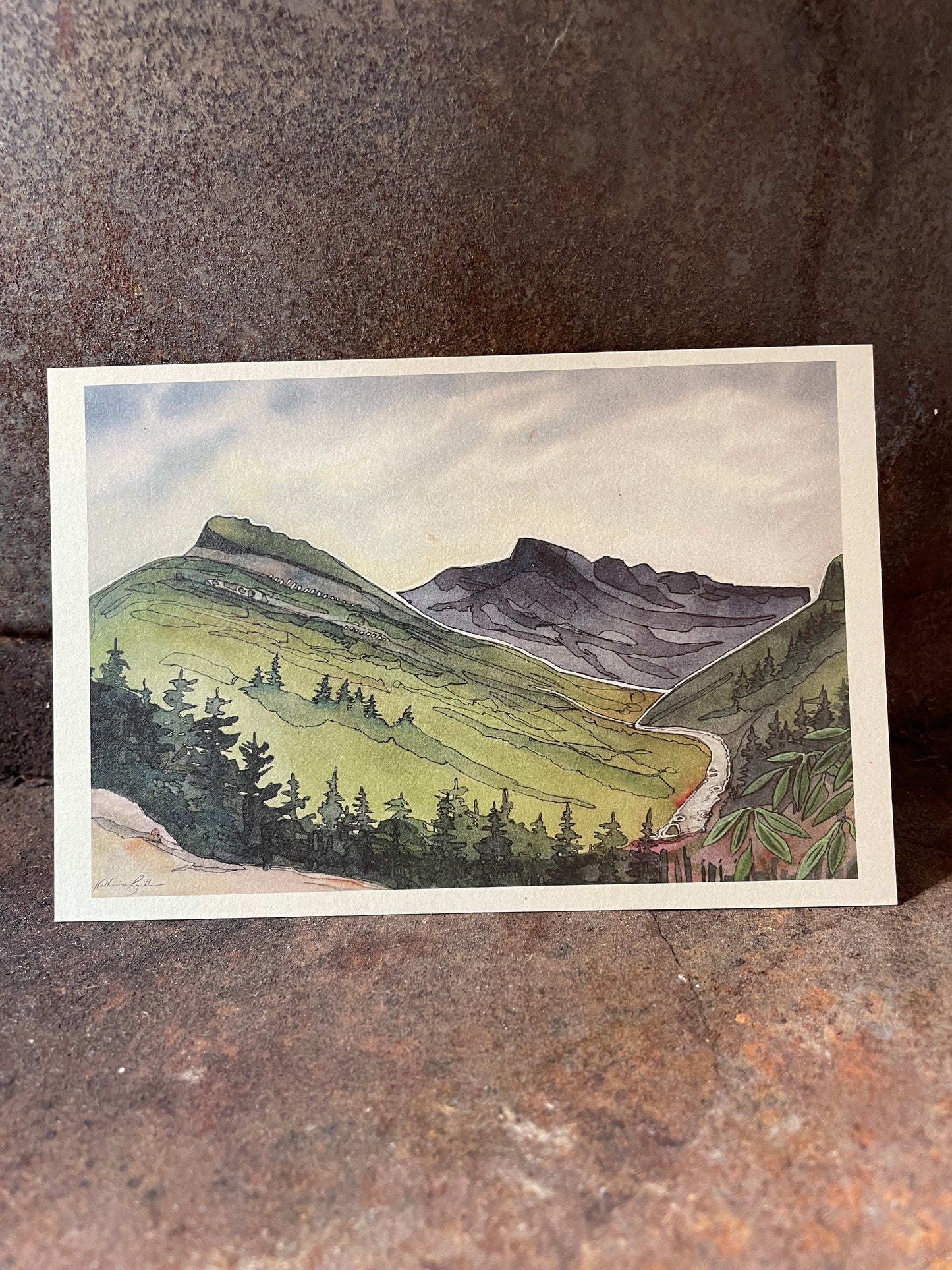 Linville Gorge Wilderness Babel Tower POSTCARD of plants and scenes the Blue Ridge Mountains