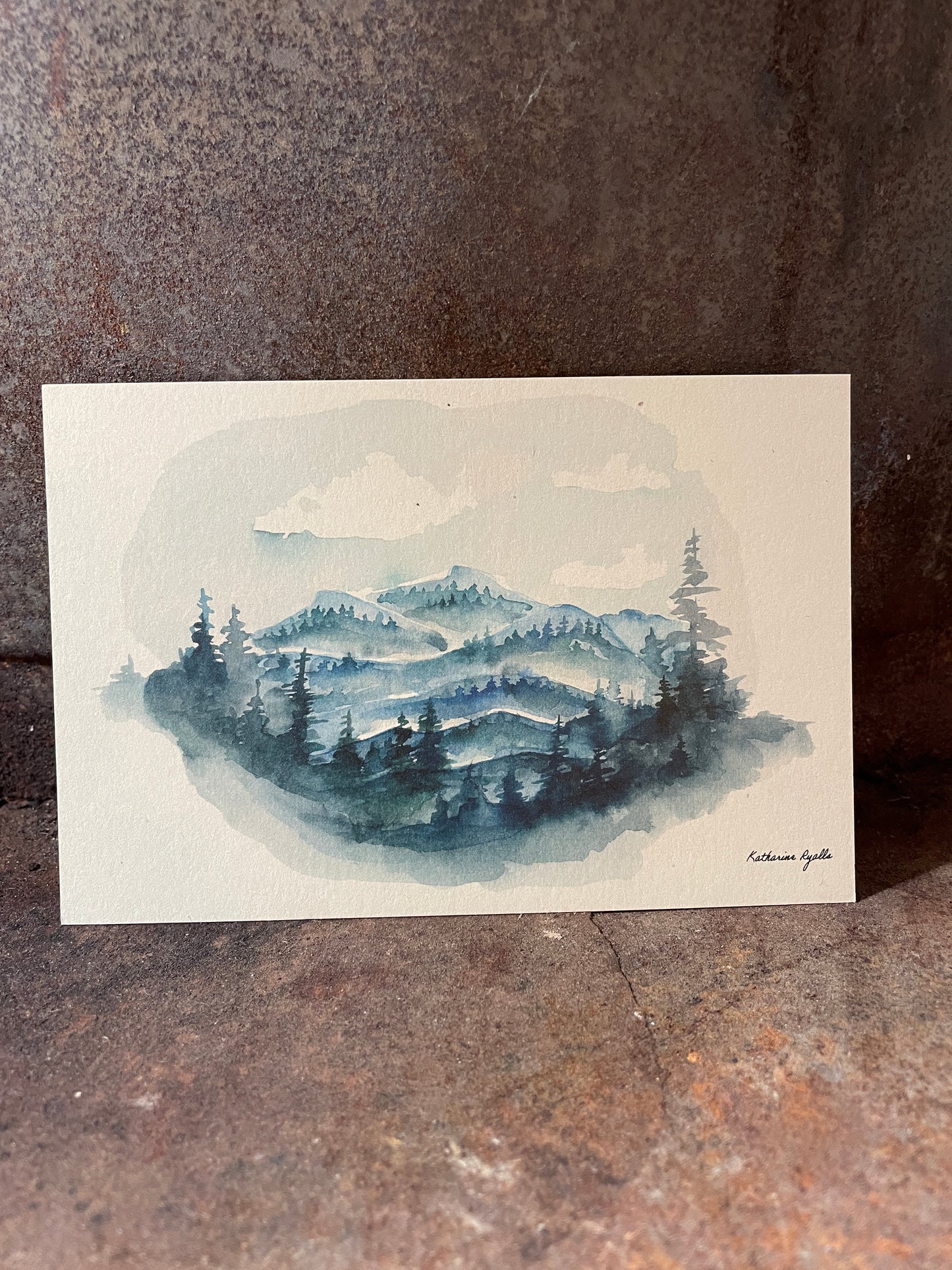 Celestial Point Linville Gorge Wilderness POSTCARD of plants and scenes the Blue Ridge Mountains