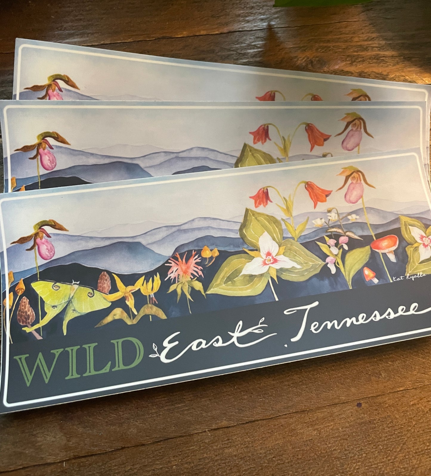 Wild East Tennessee Bumper STICKER