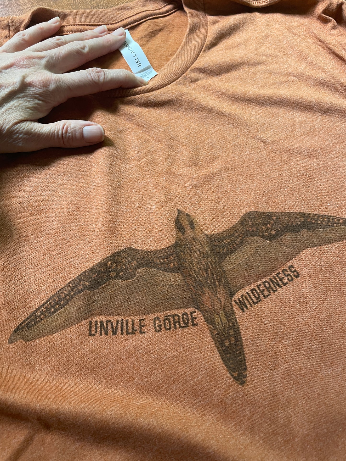 Linville Gorge Wilderness Peregrine Peaks T-Shirt