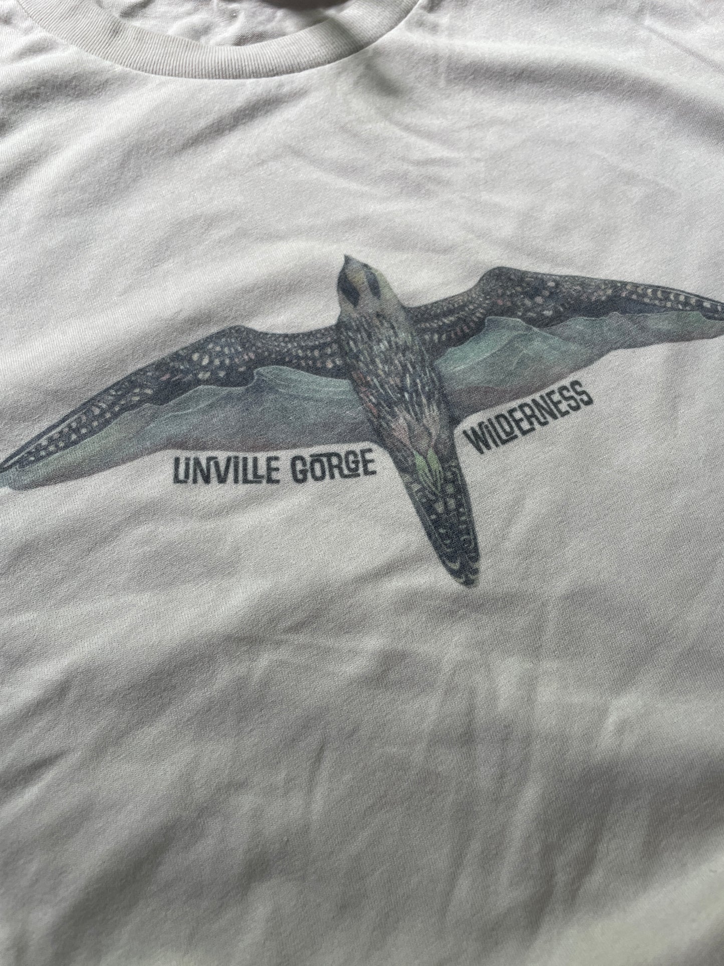 Linville Gorge Wilderness Peregrine Peaks T-Shirt