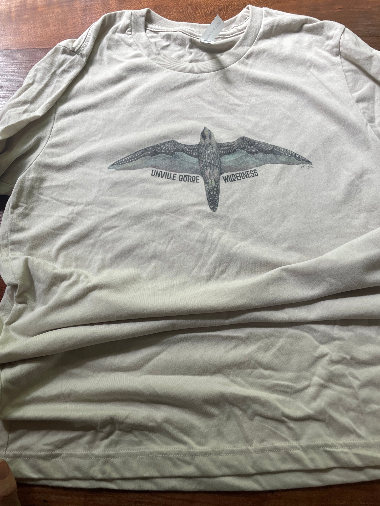 Linville Gorge Wilderness Peregrine Peaks T-Shirt