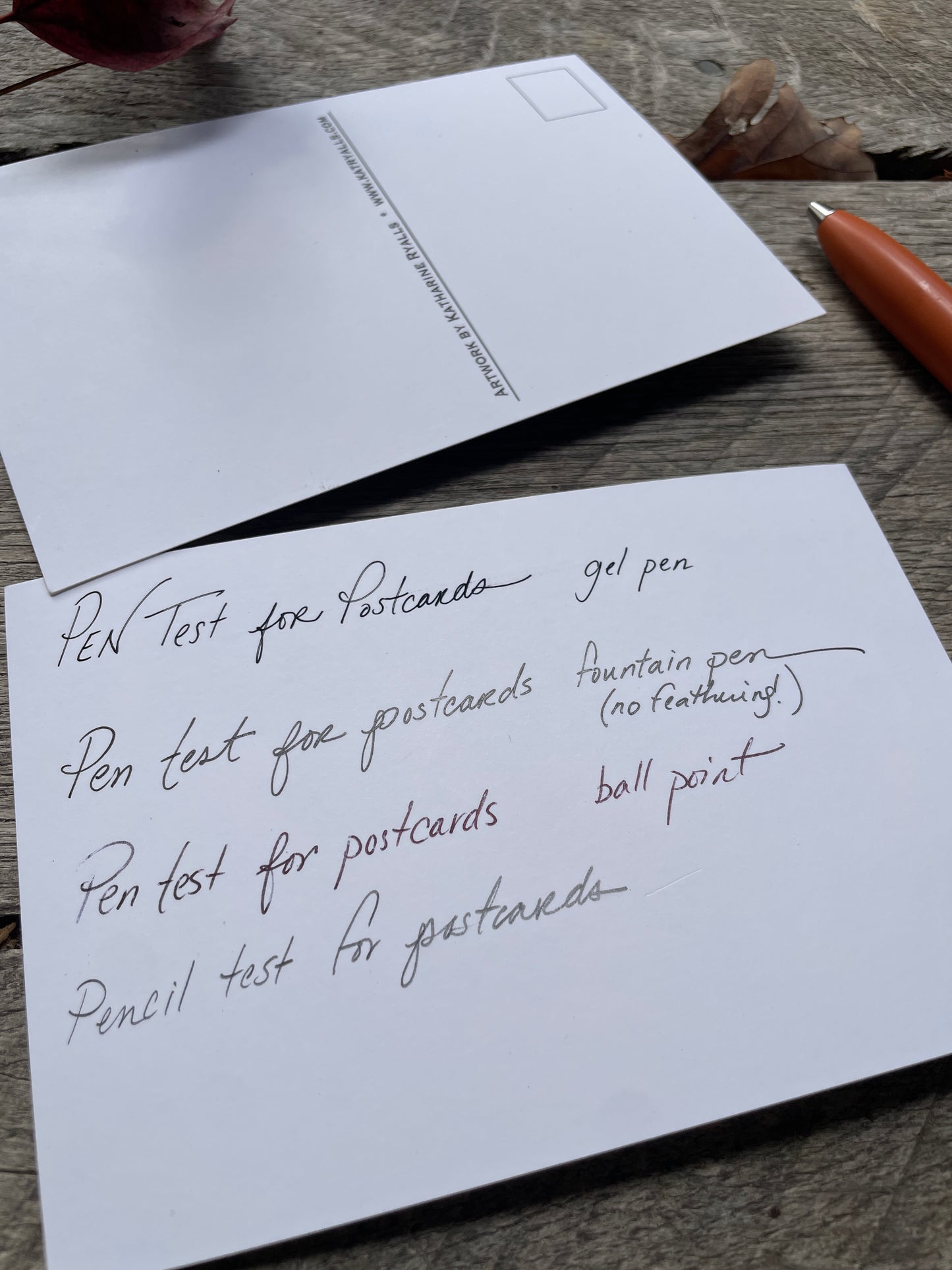 Set of 10 Phases and Forests POSTCARDS of plants and scenes the Blue Ridge Mountains