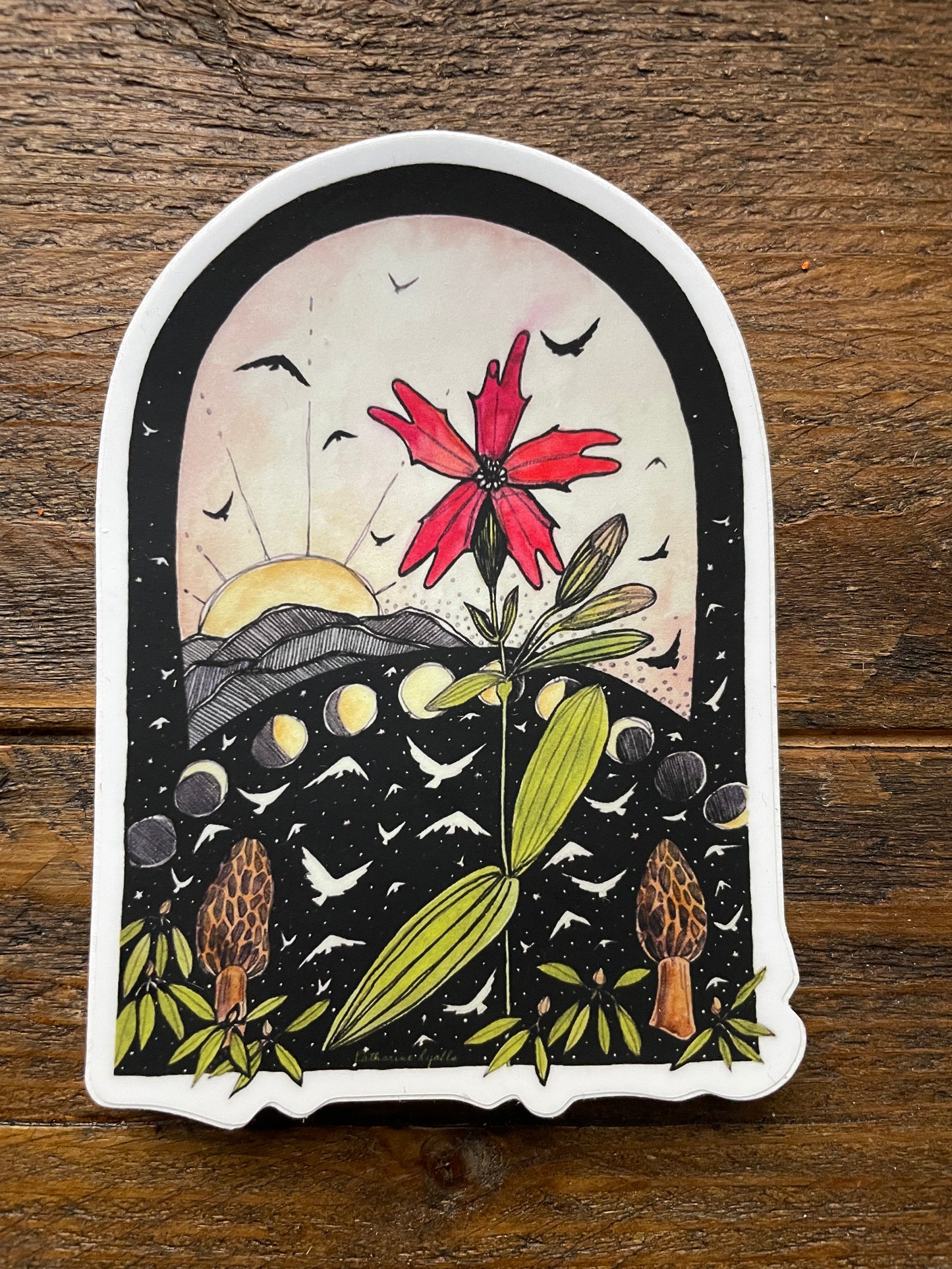 Fire Pink and Morels 4" Vinyl Sticker Phases and Forests