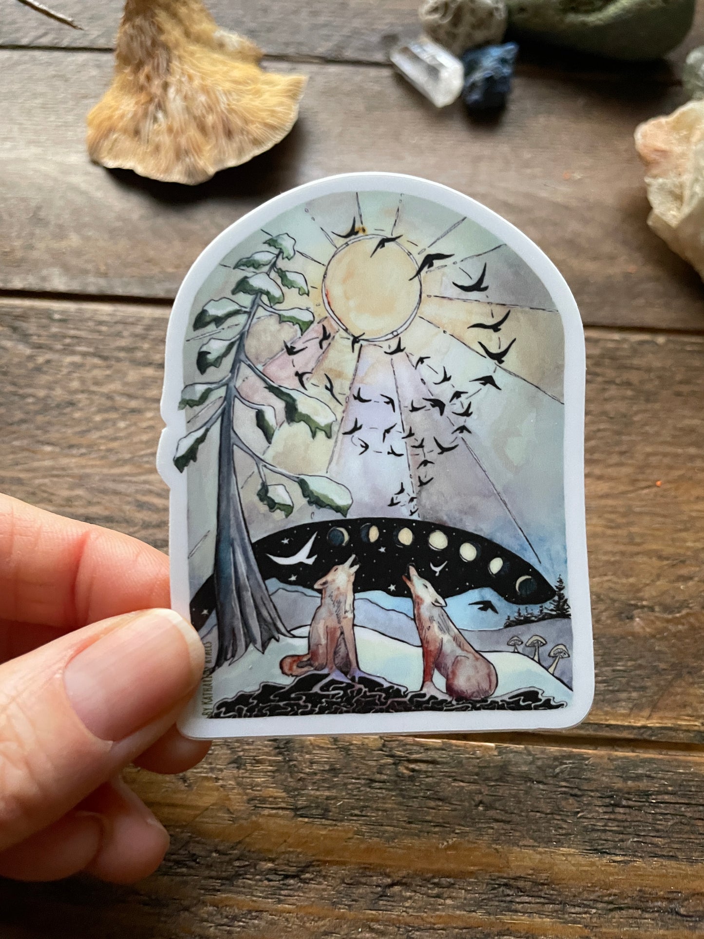 Coyotes Communicating 3" Vinyl Sticker Phases and Forests
