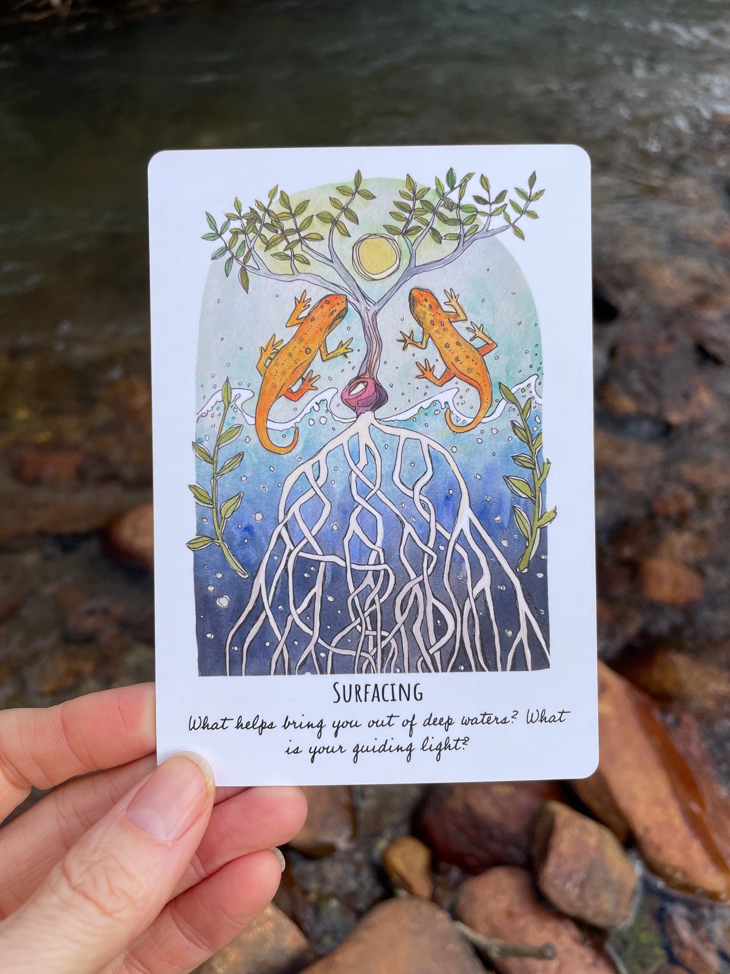 Phases and Forests Oracle Deck