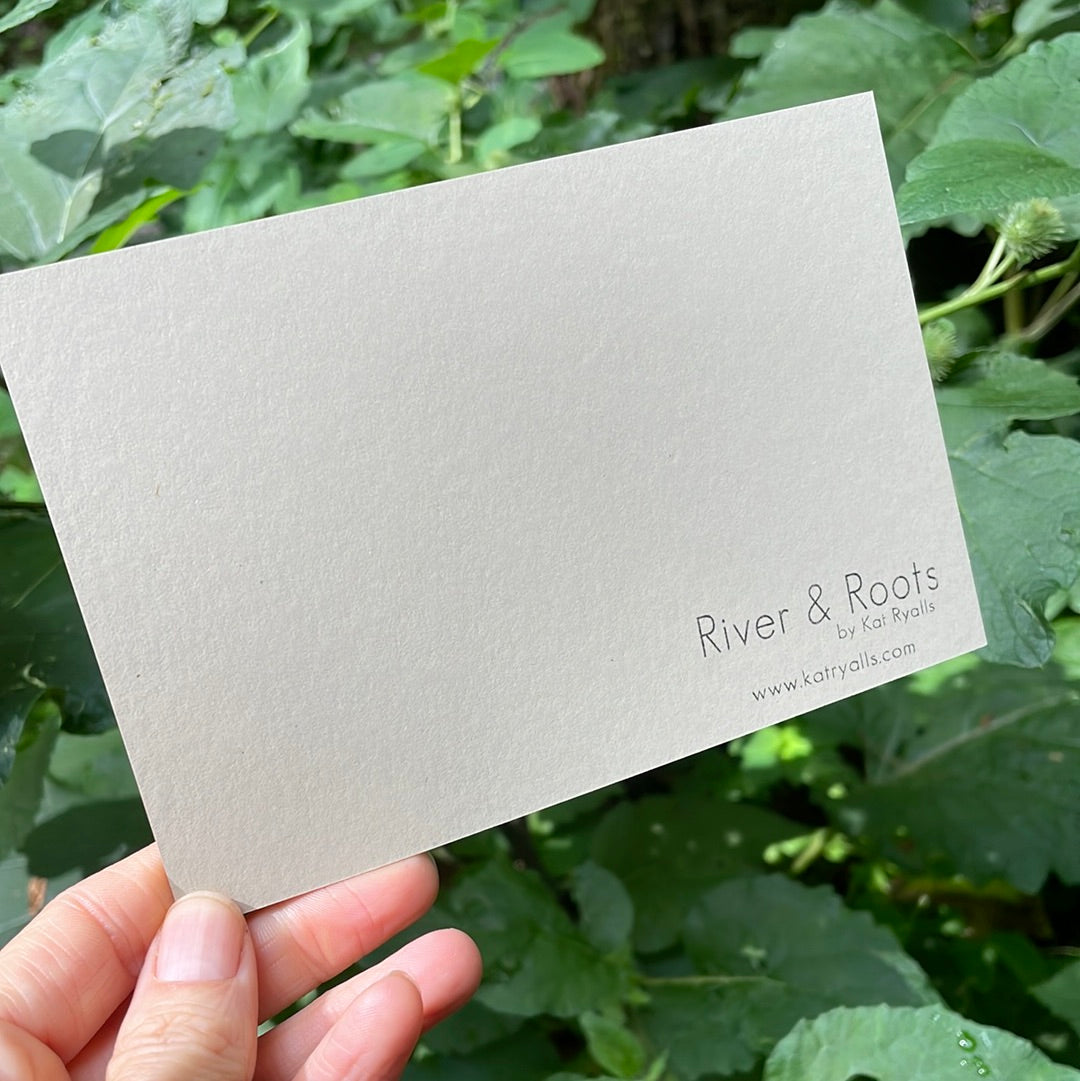 Linville Gorge Wilderness POSTCARD of plants and scenes the Blue Ridge Mountains