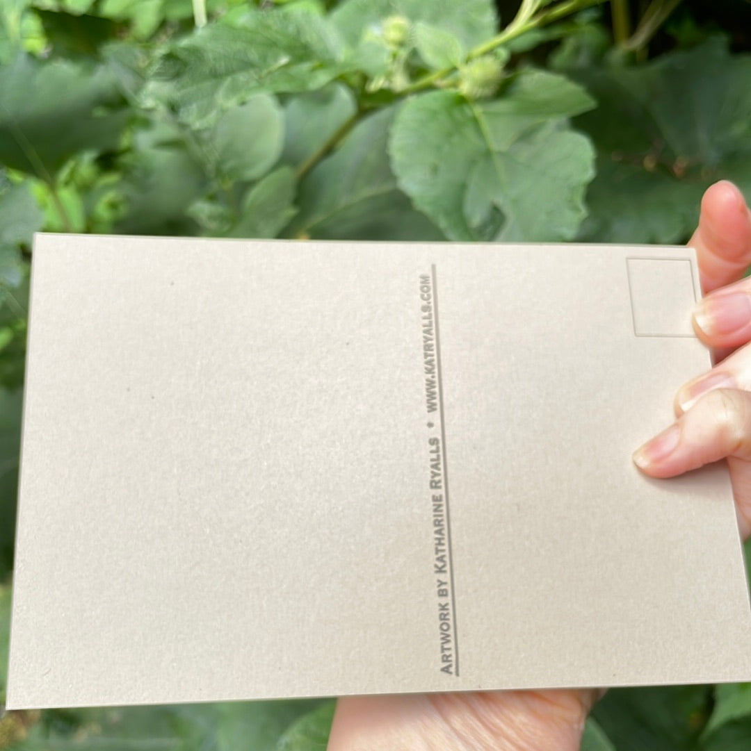 Mayapple POSTCARD of plants and scenes the Blue Ridge Mountains