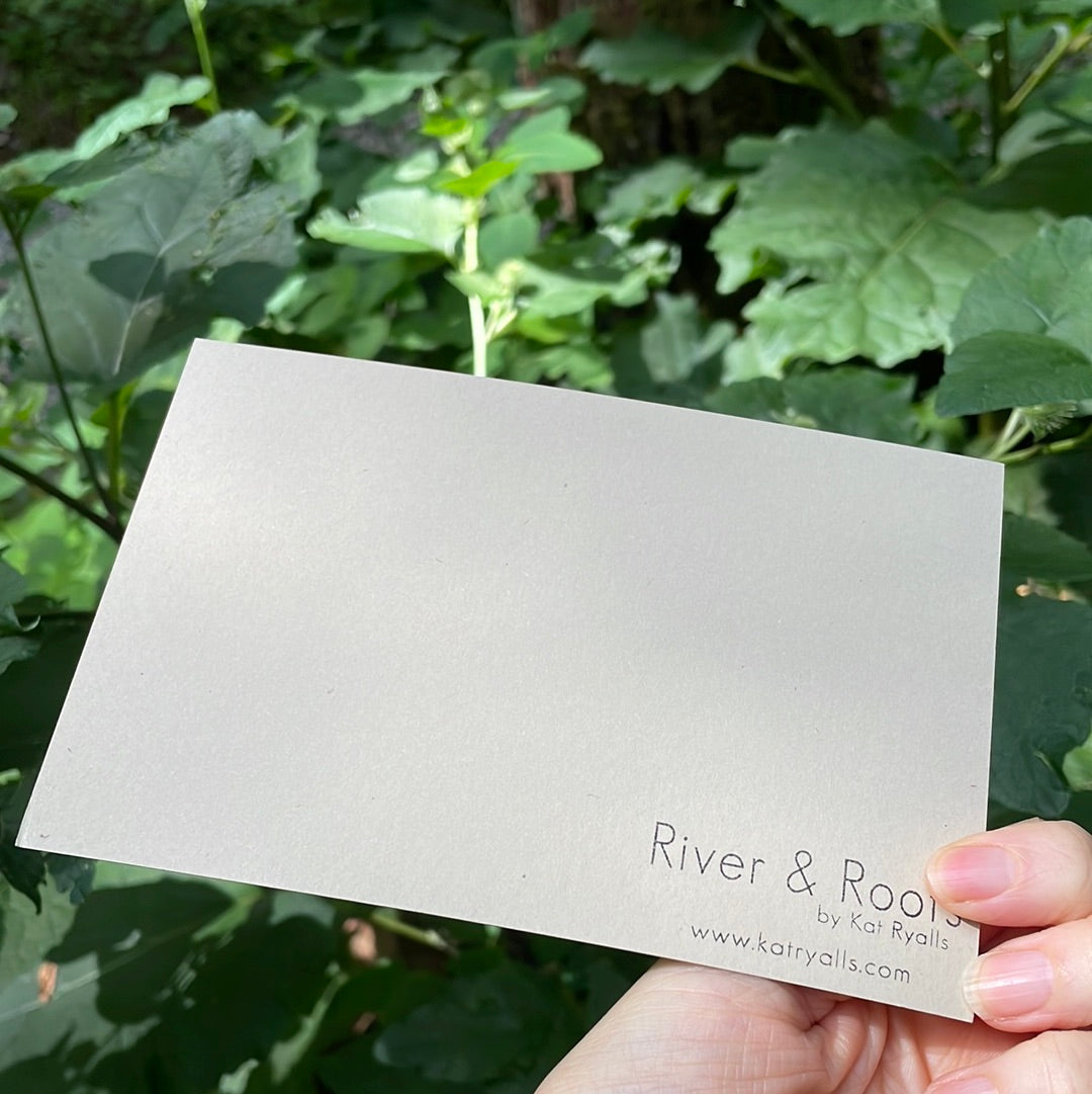 Blue Ridge Mountains POSTCARD of plants and scenes the Blue Ridge Mountains