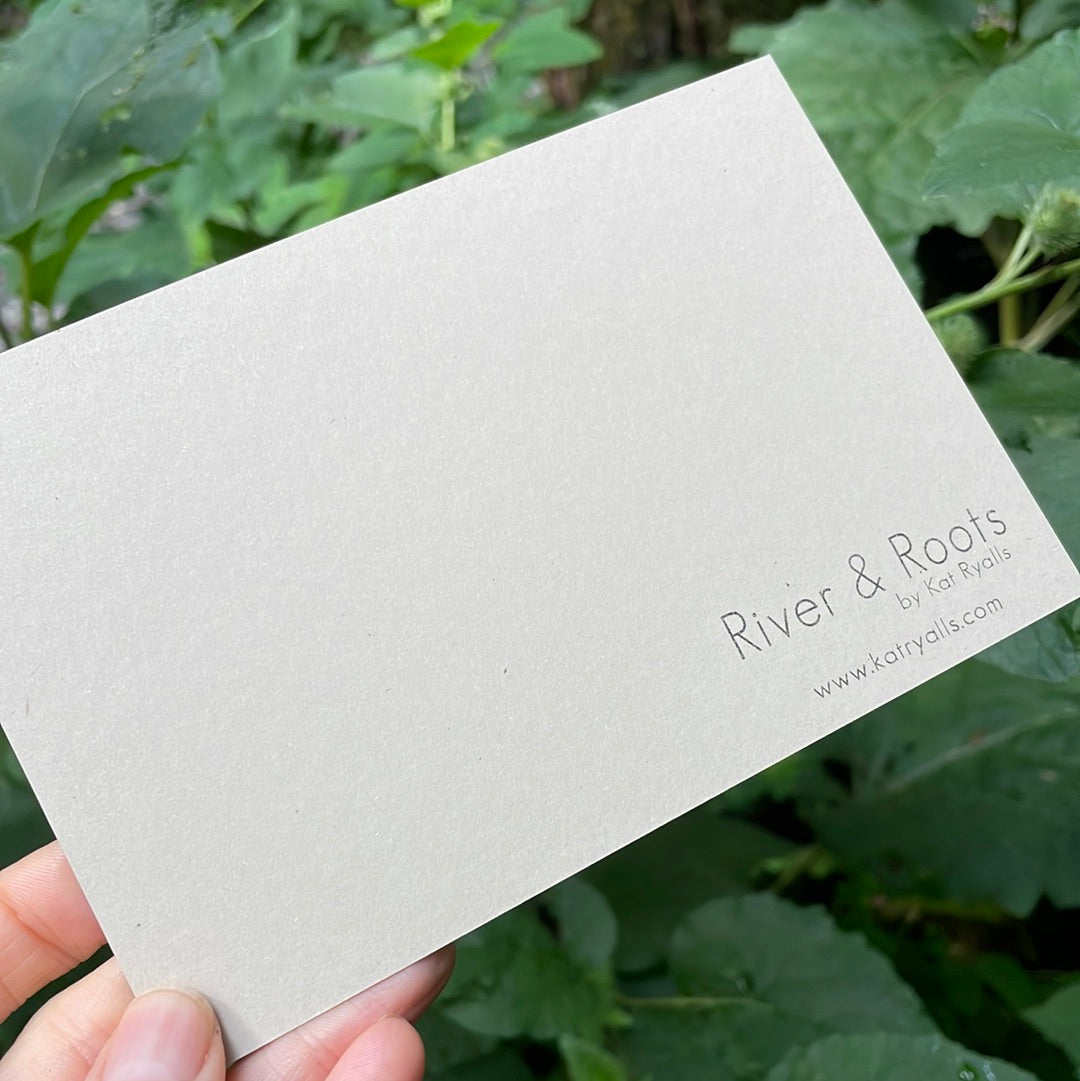 Grandfather Mountain Owl POSTCARD of plants and scenes the Blue Ridge Mountains