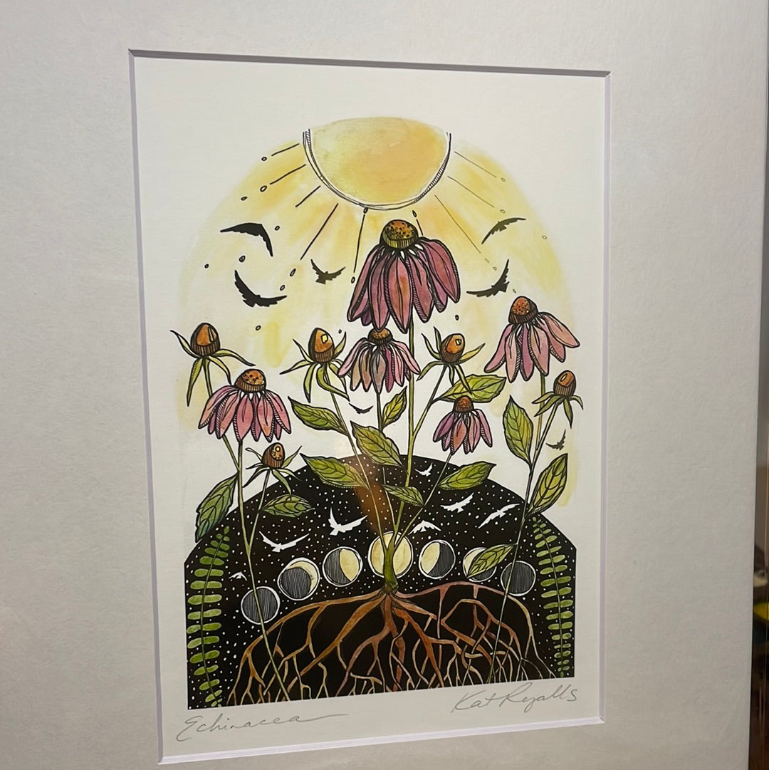 Echinacea PRINT 5x7, 8x10, 11x14”