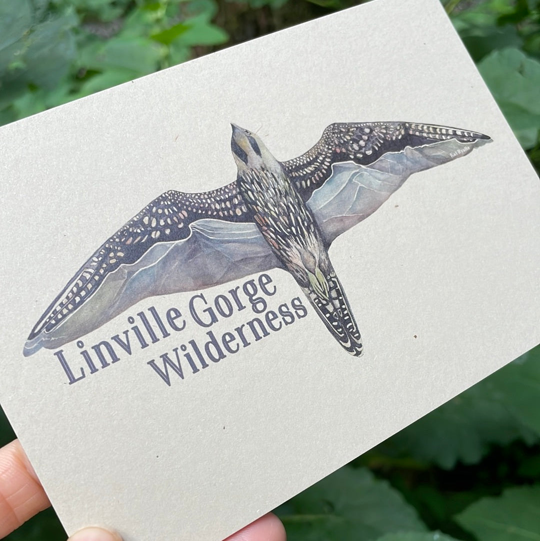 Linville Gorge Peregrine POSTCARD of plants and scenes the Blue Ridge Mountains