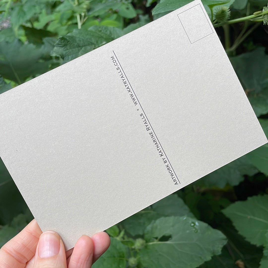 Mountain Landscape POSTCARD of plants and scenes the Blue Ridge Mountains