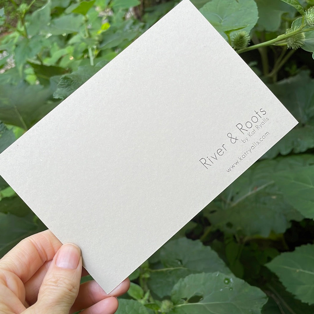 Honey Mushrooms POSTCARD of plants and scenes the Blue Ridge Mountains