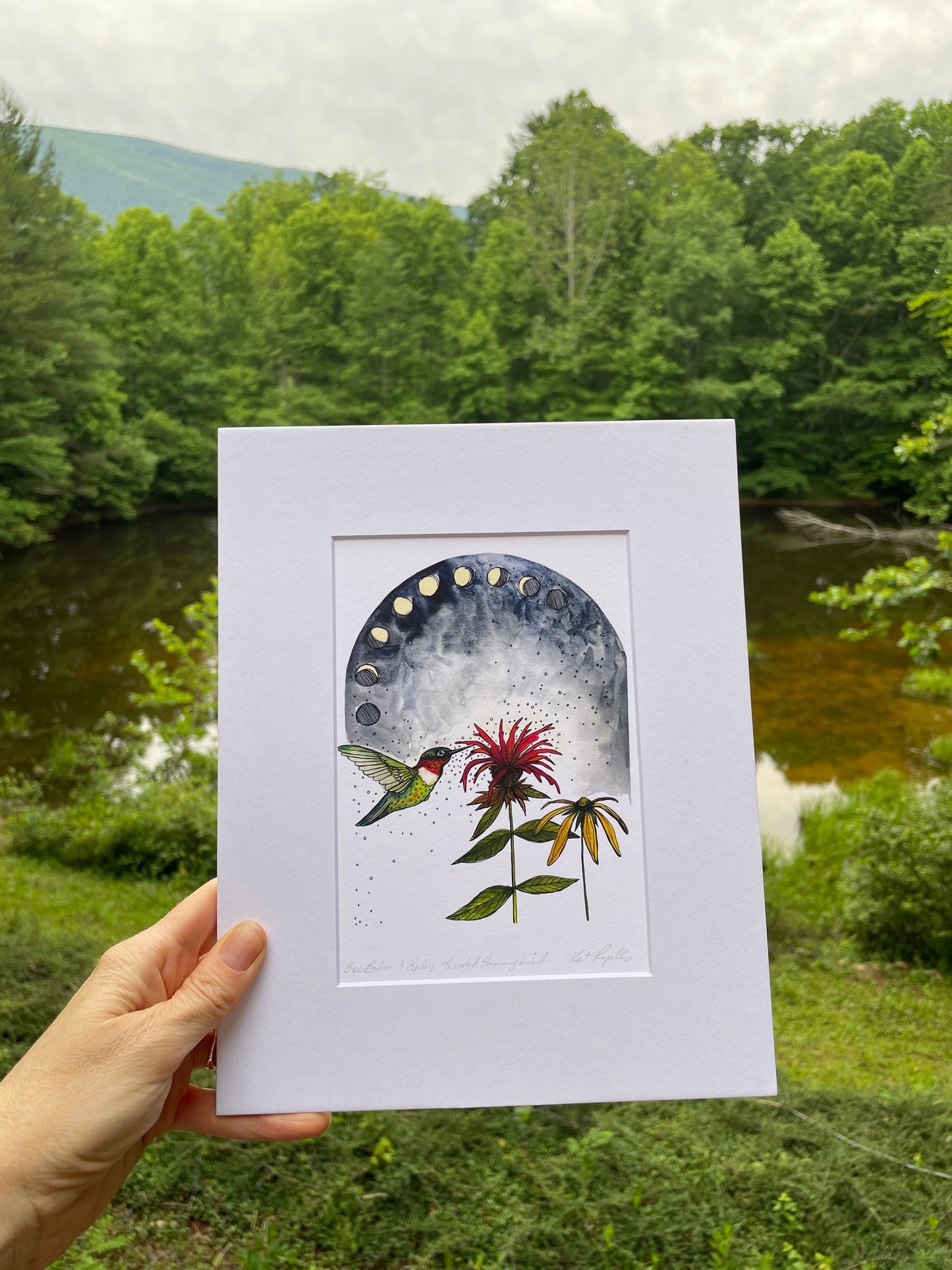 Hummingbird and Bee Balm PRINT 5x7, 8x10, 11x14”