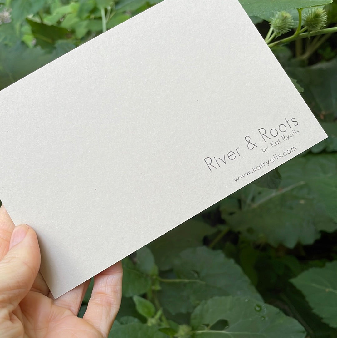 Rainbow Trout POSTCARD of plants and scenes the Blue Ridge Mountains