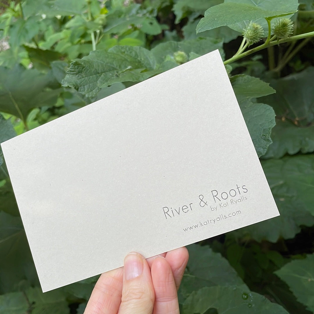 Jewelweed POSTCARD of plants and scenes the Blue Ridge Mountains