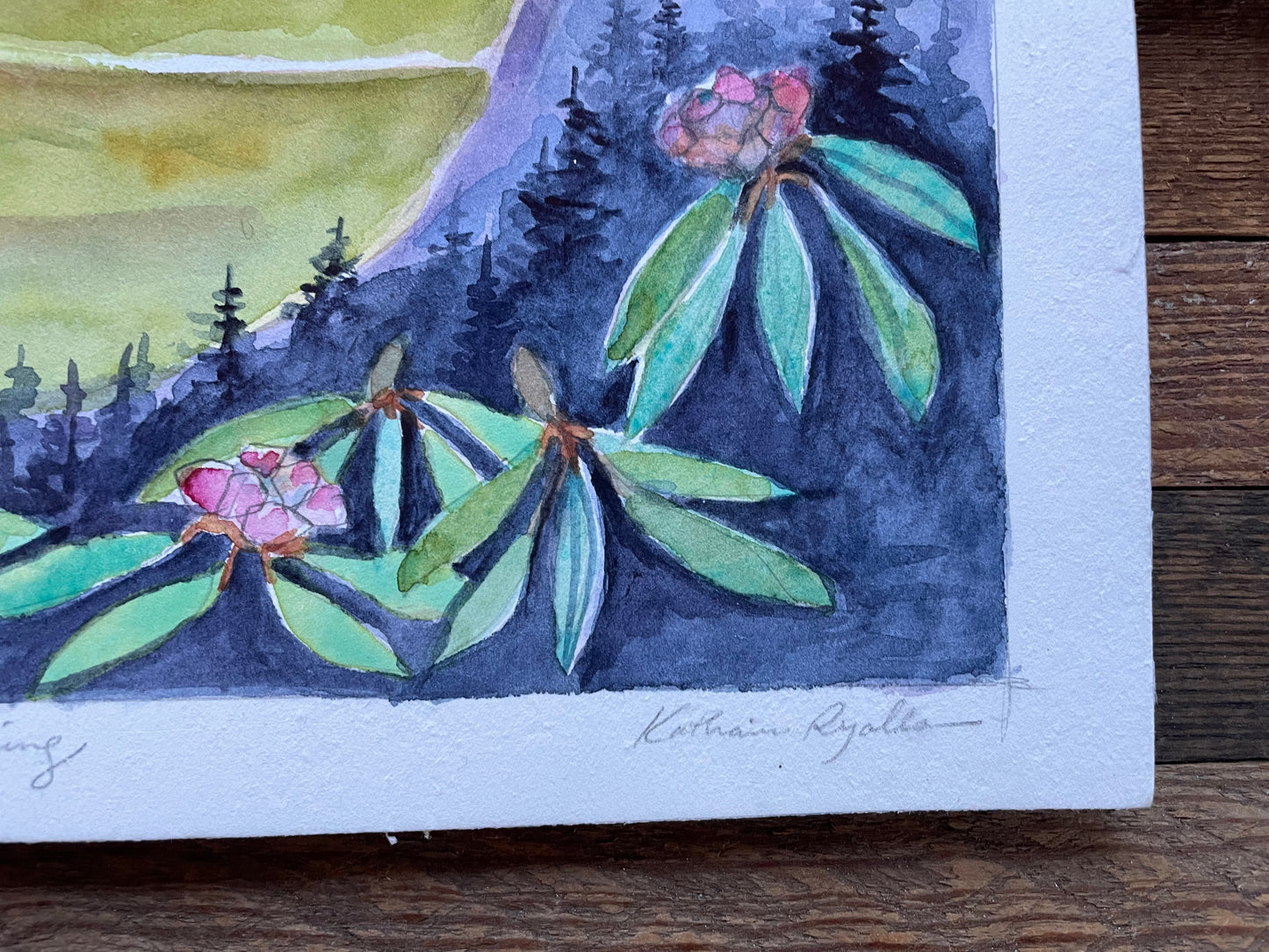 Waiting on Spring, Linville Gorge. Prints and ORIGINAL