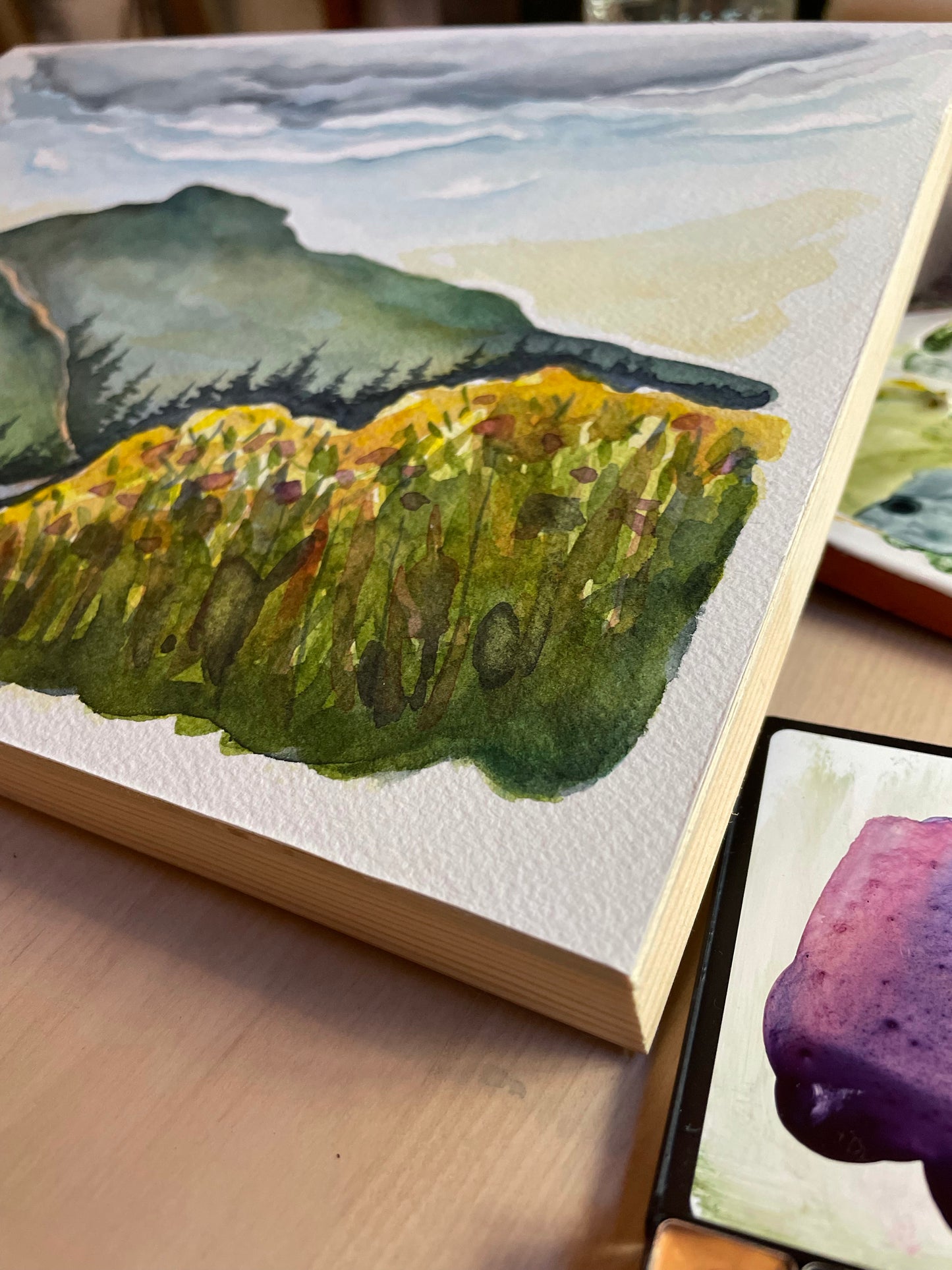Linville Gorge in Spring PRINTS 5x7, 8x10, 11x14"
