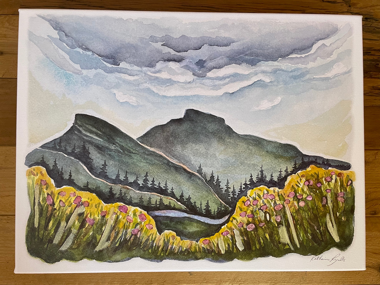 Linville Gorge in Spring CANVAS PRINT 12x16"