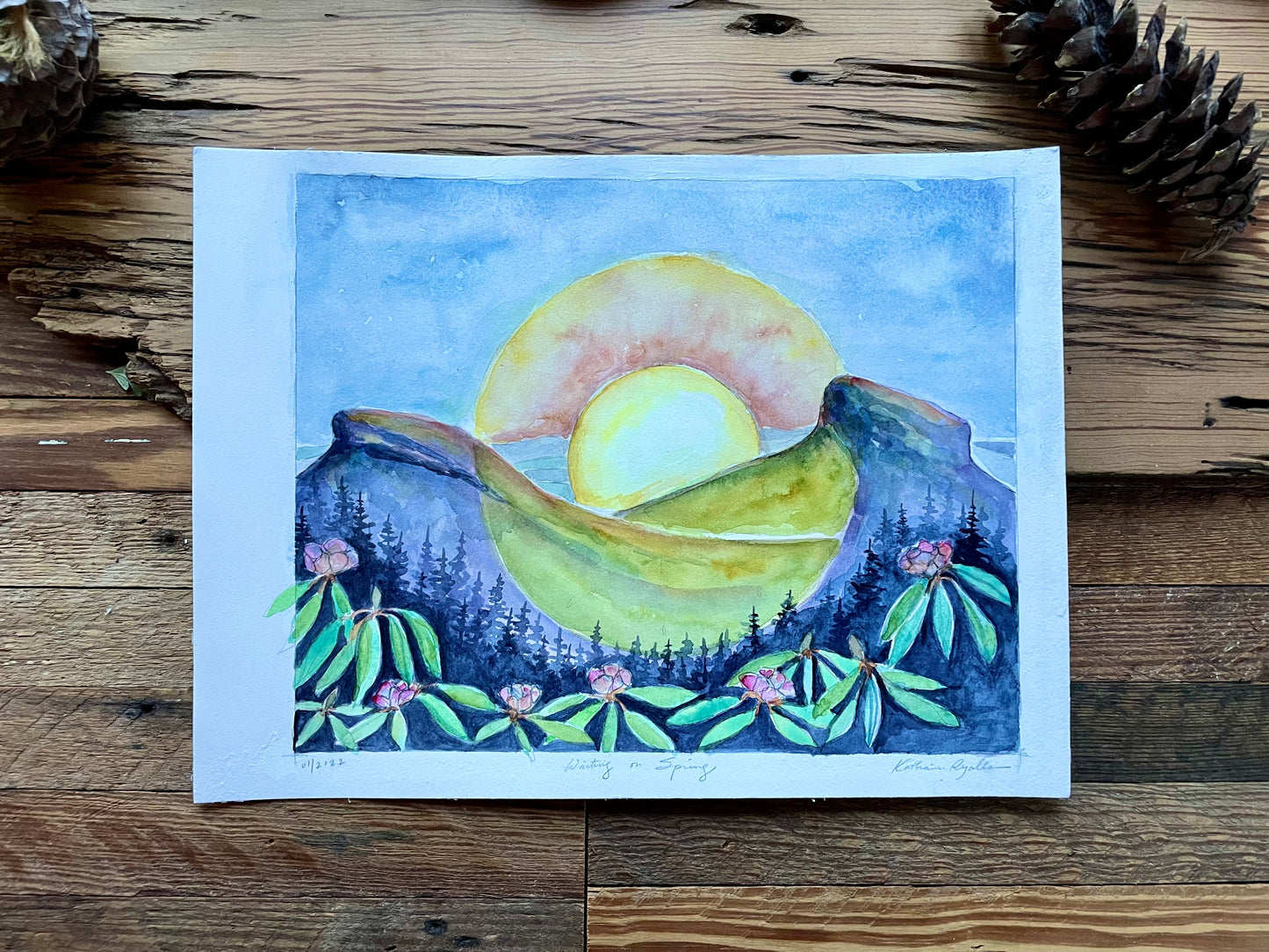 Waiting on Spring, Linville Gorge. Prints and ORIGINAL
