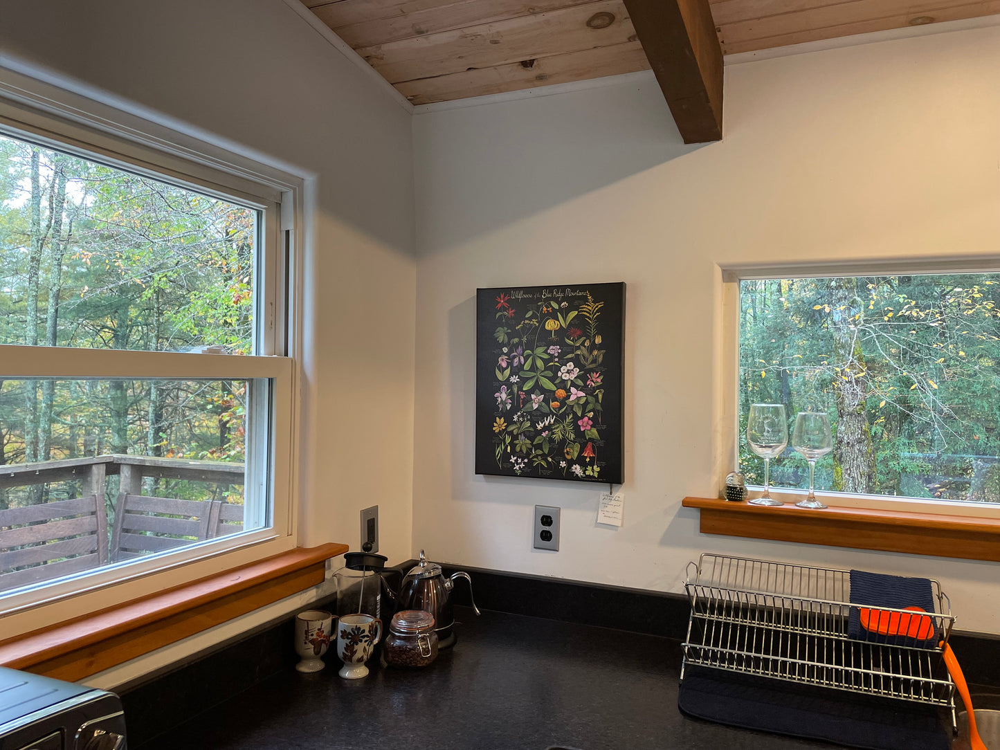 Wildflowers of the Blue Ridge Mountains, CANVAS PRINT on Black 12x16, 16x20, 18x24"