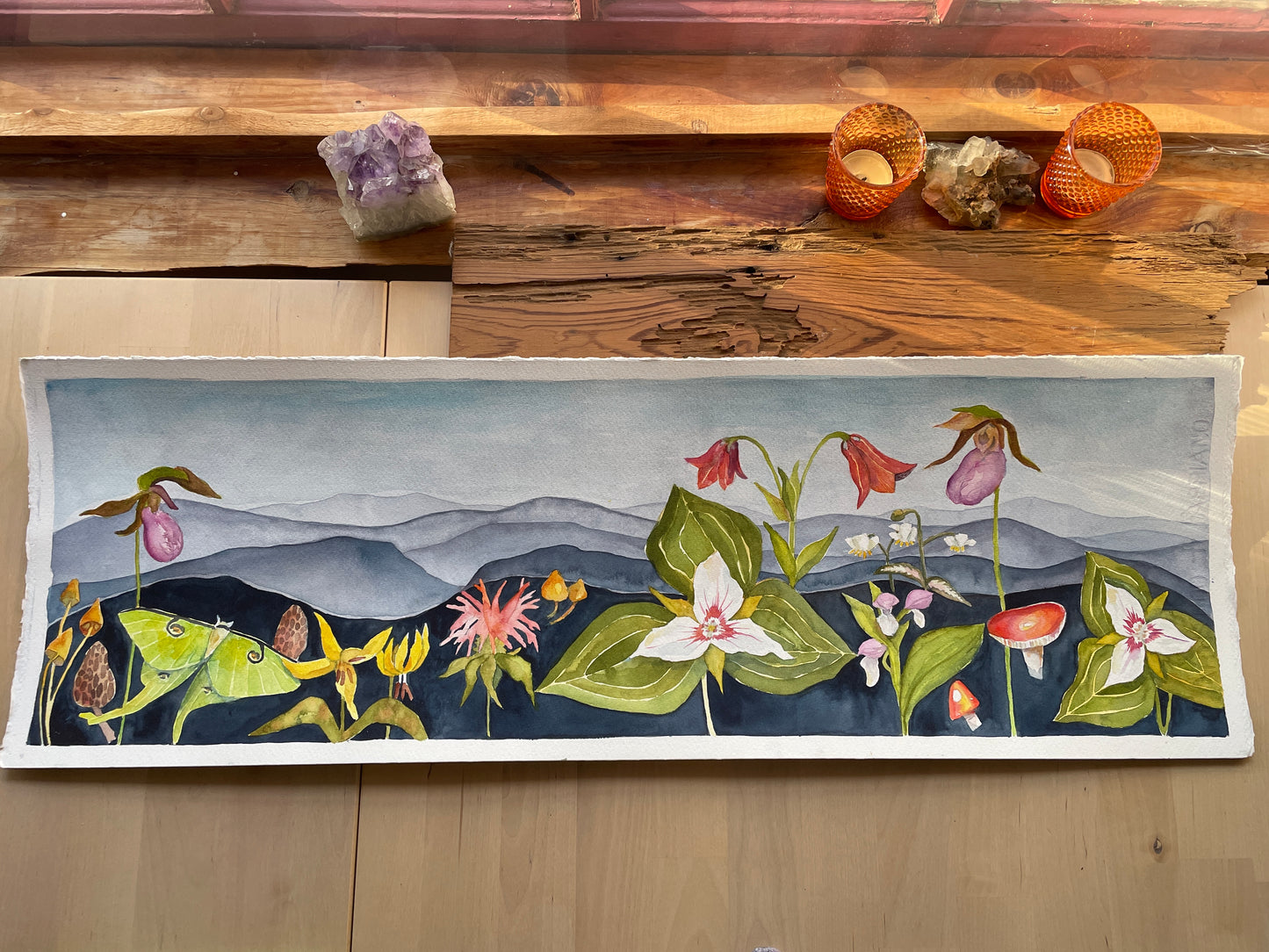 Blooming Mountains ORIGINAL 30x10”