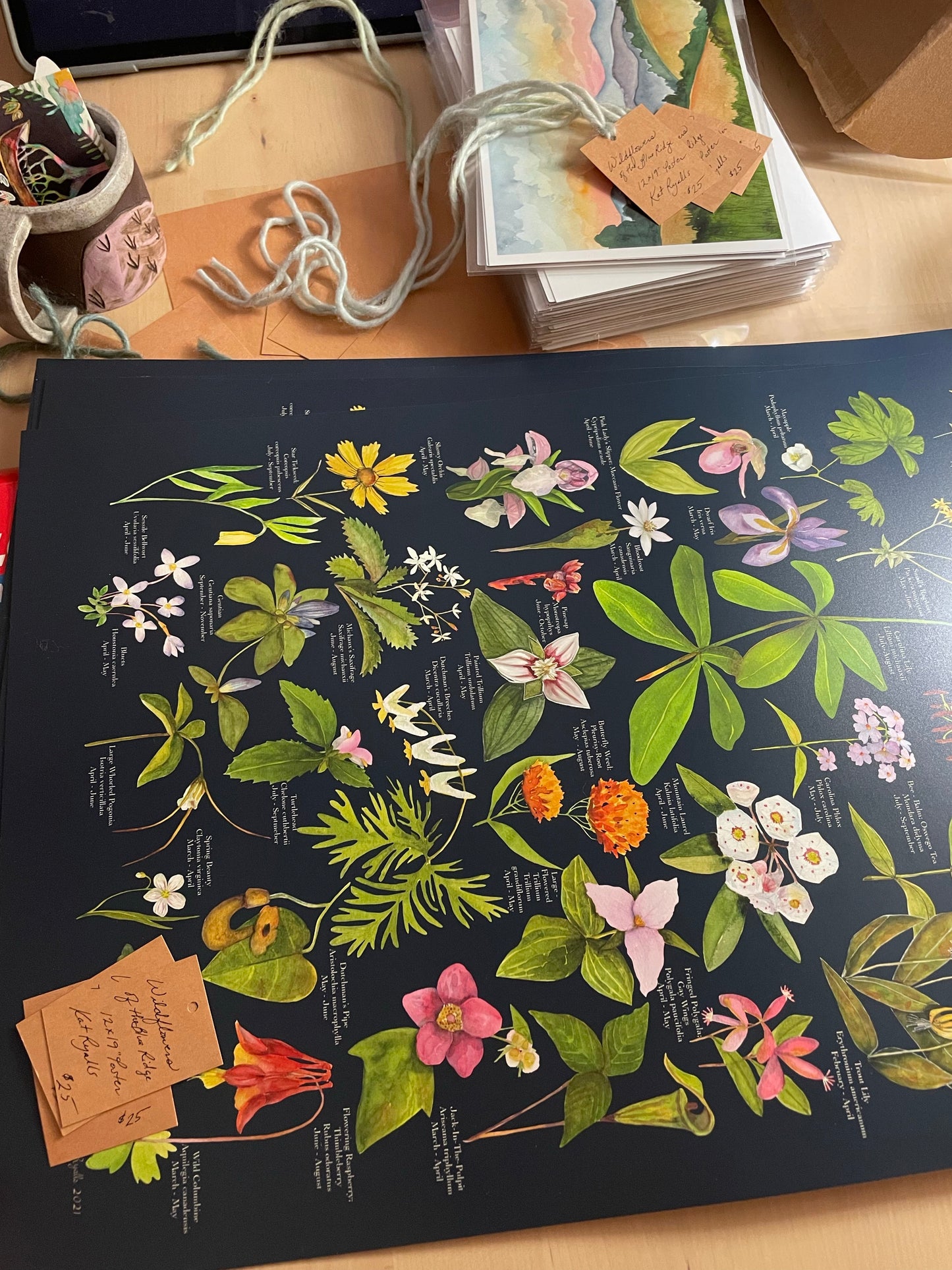 Wildflowers of the Blue Ridge Mountains POSTER 19x12" on Navy Blue