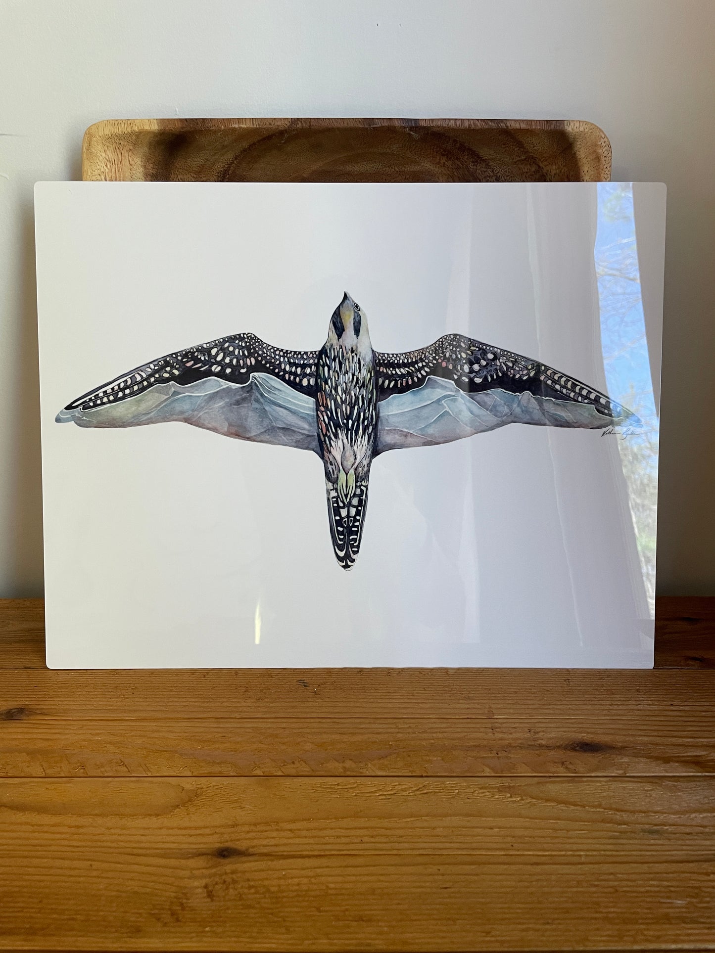 Linville Gorge Peregrine, METAL PRINT