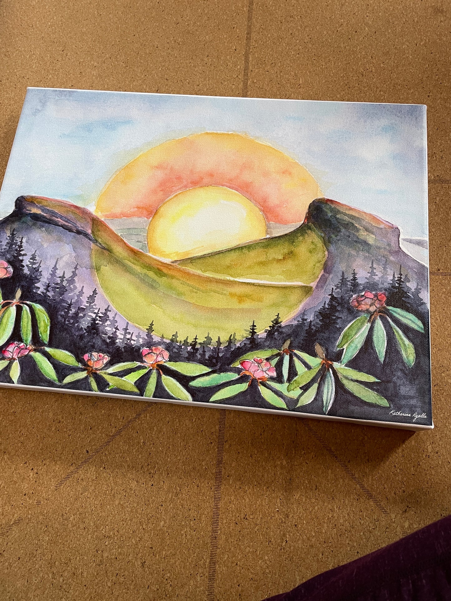 Waiting on Spring, Linville Gorge, Canvas PRINT 12x16"