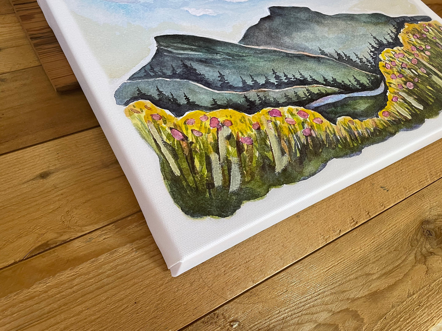 Linville Gorge in Spring CANVAS PRINT 12x16"