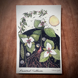 Painted Trillium POSTCARD of plants and scenes the  Blue Ridge Mountains