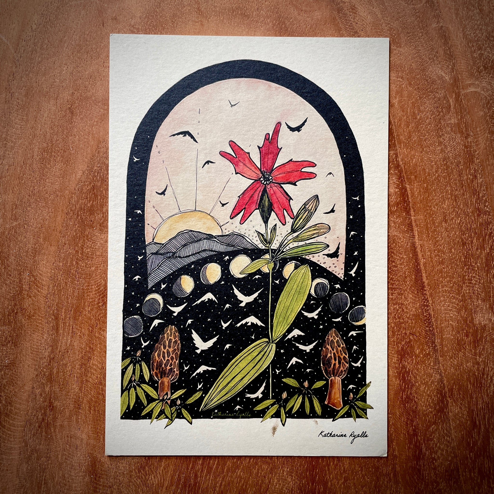 Morels and Fire Pink POSTCARD of plants and scenes the Blue Ridge Moun