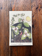 Load image into Gallery viewer, Painted Trillium POSTCARD of plants and scenes the  Blue Ridge Mountains