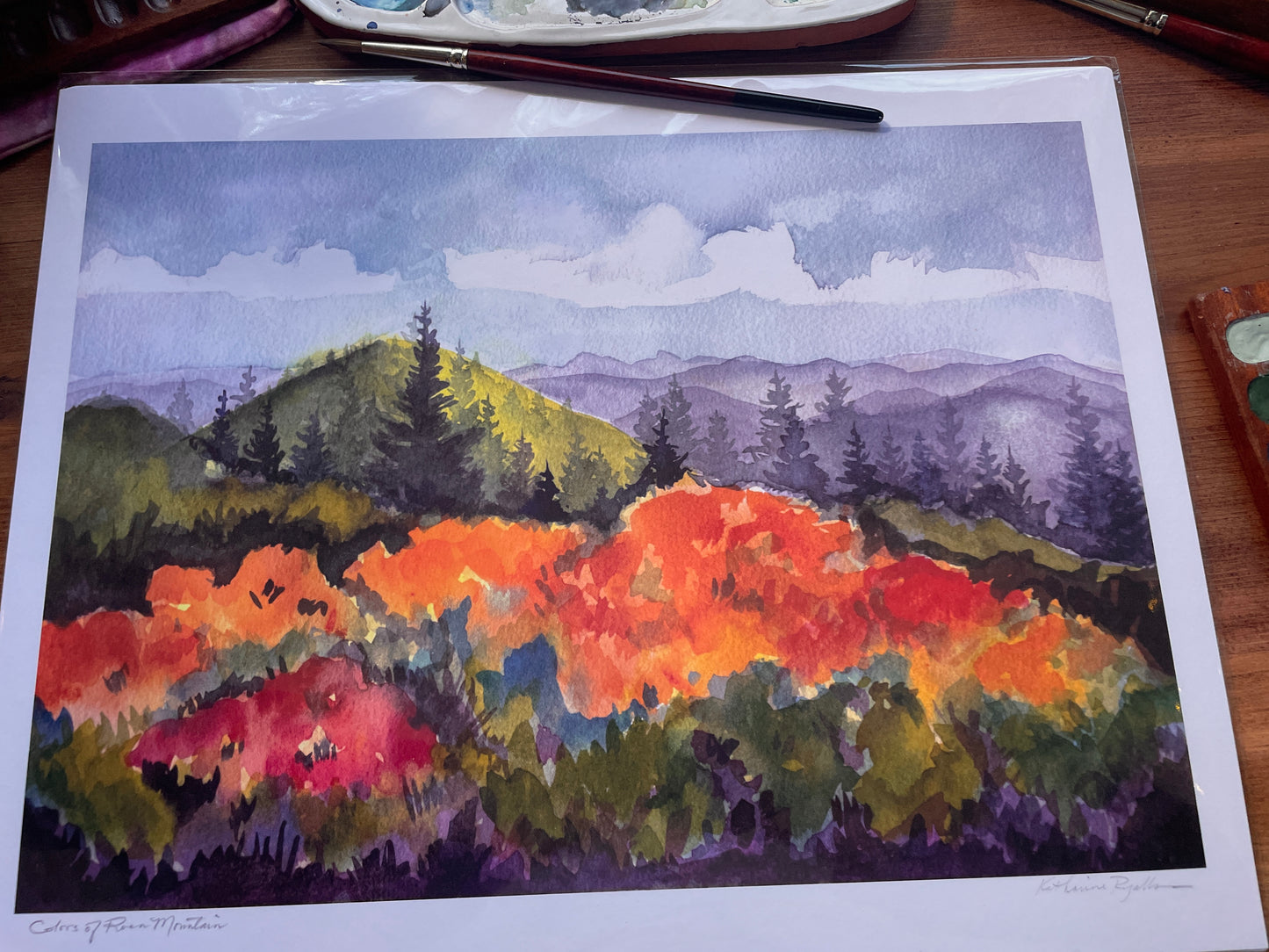 Flame Azaleas and Rhododendrons on Roan PRINT