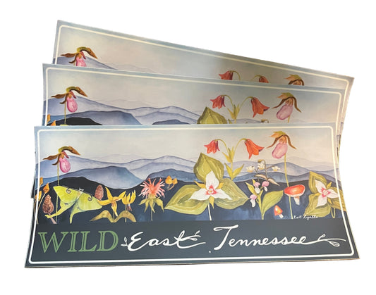 Wild East Tennessee Bumper STICKER