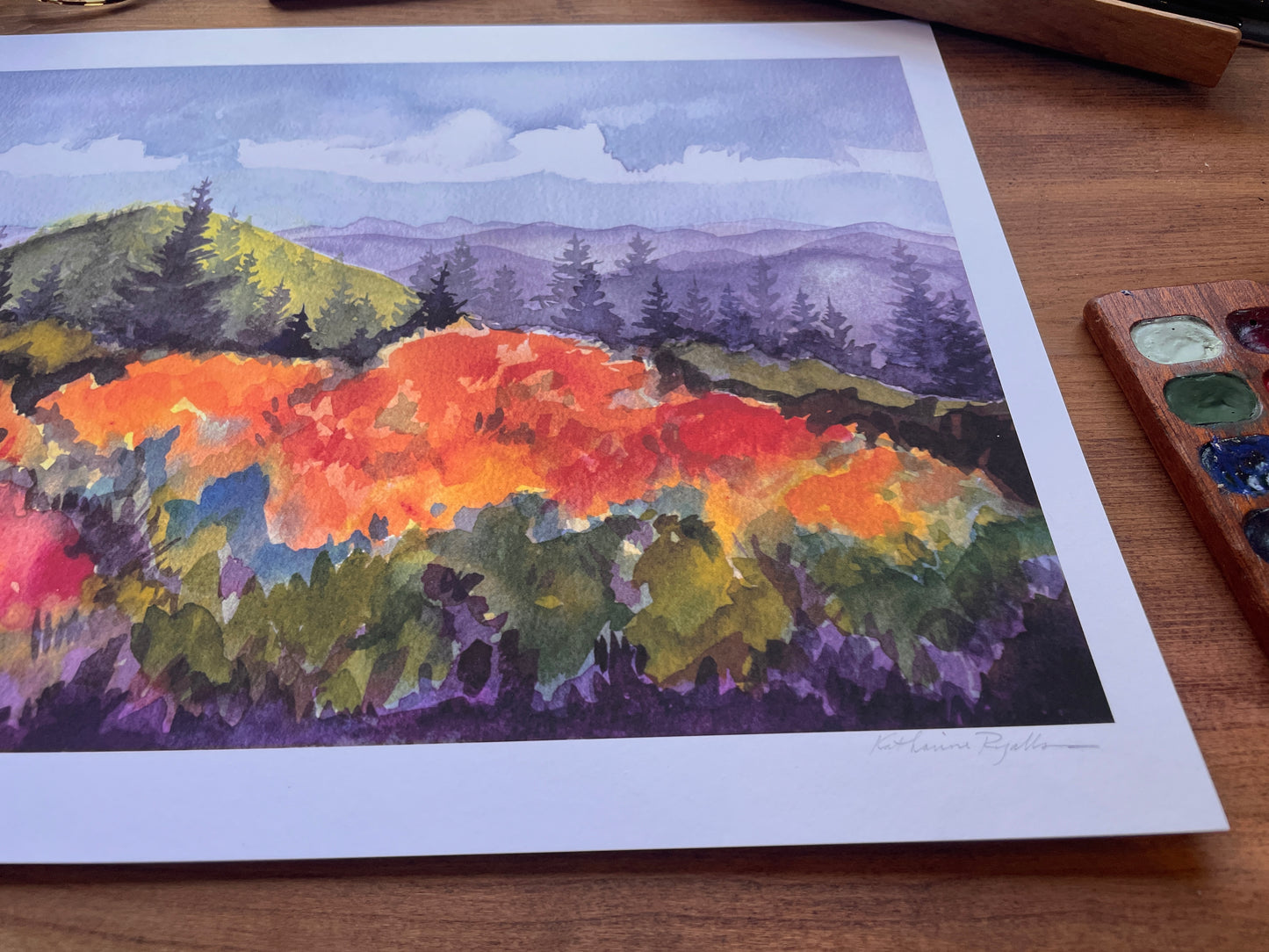 Flame Azaleas and Rhododendrons on Roan PRINT