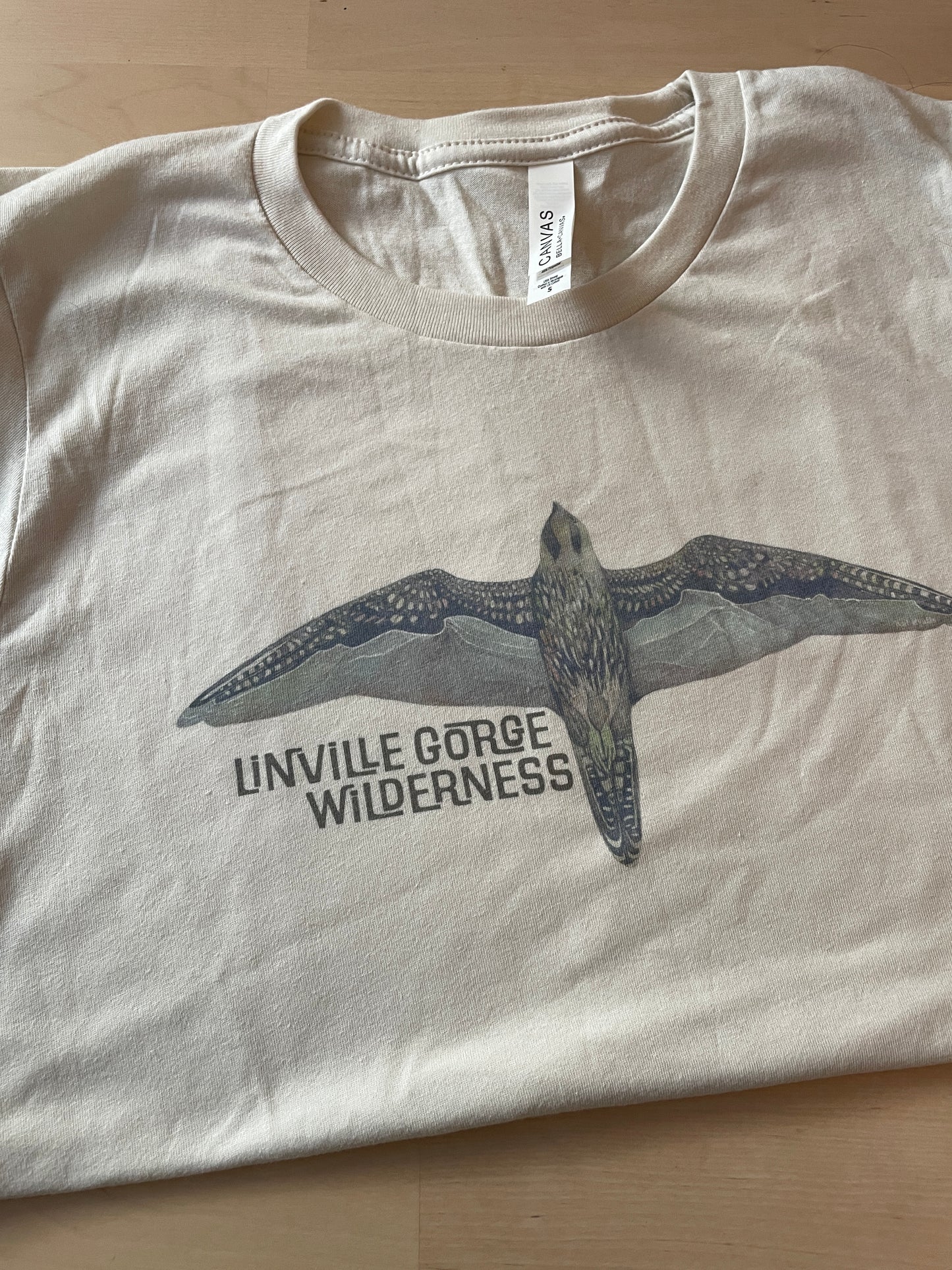 Linville Gorge Wilderness Peregrine Peaks T-Shirt