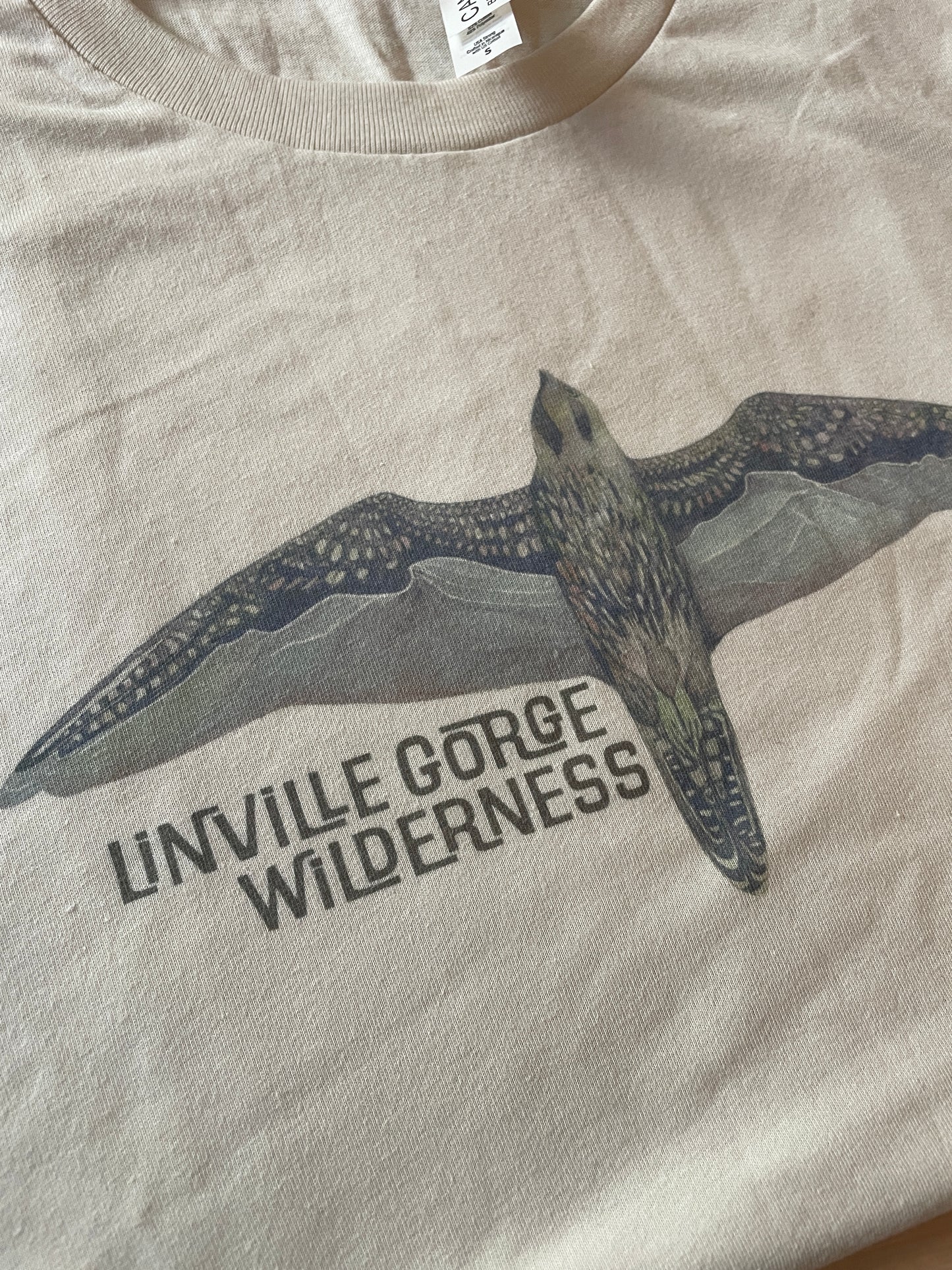 Linville Gorge Wilderness Peregrine Peaks T-Shirt