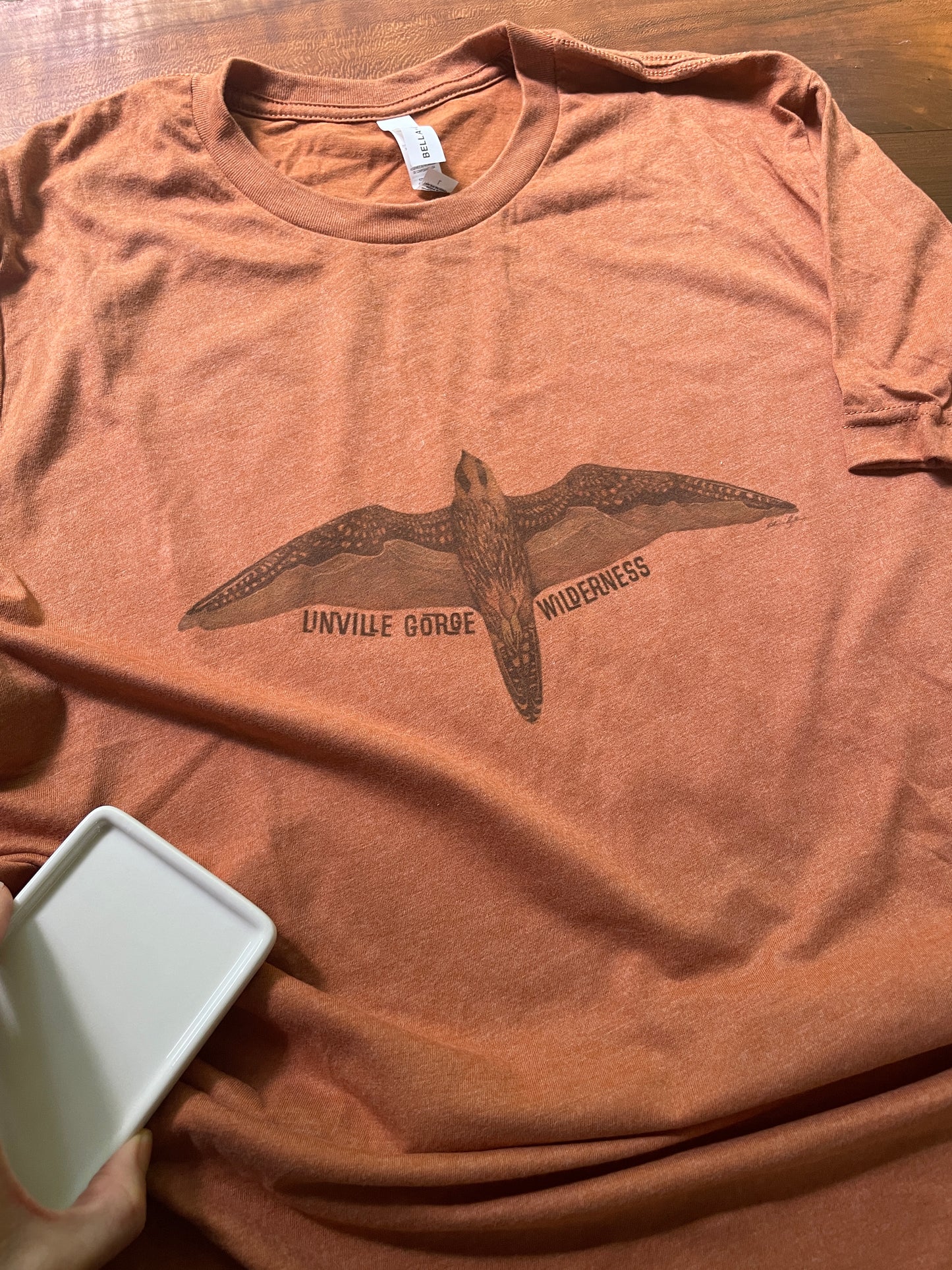 Linville Gorge Wilderness Peregrine Peaks T-Shirt