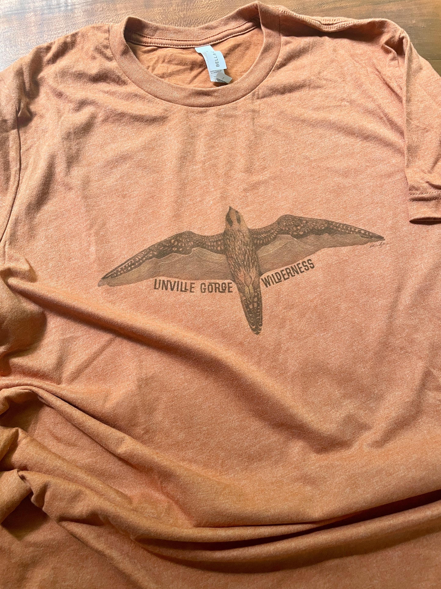 Linville Gorge Wilderness Peregrine Peaks T-Shirt