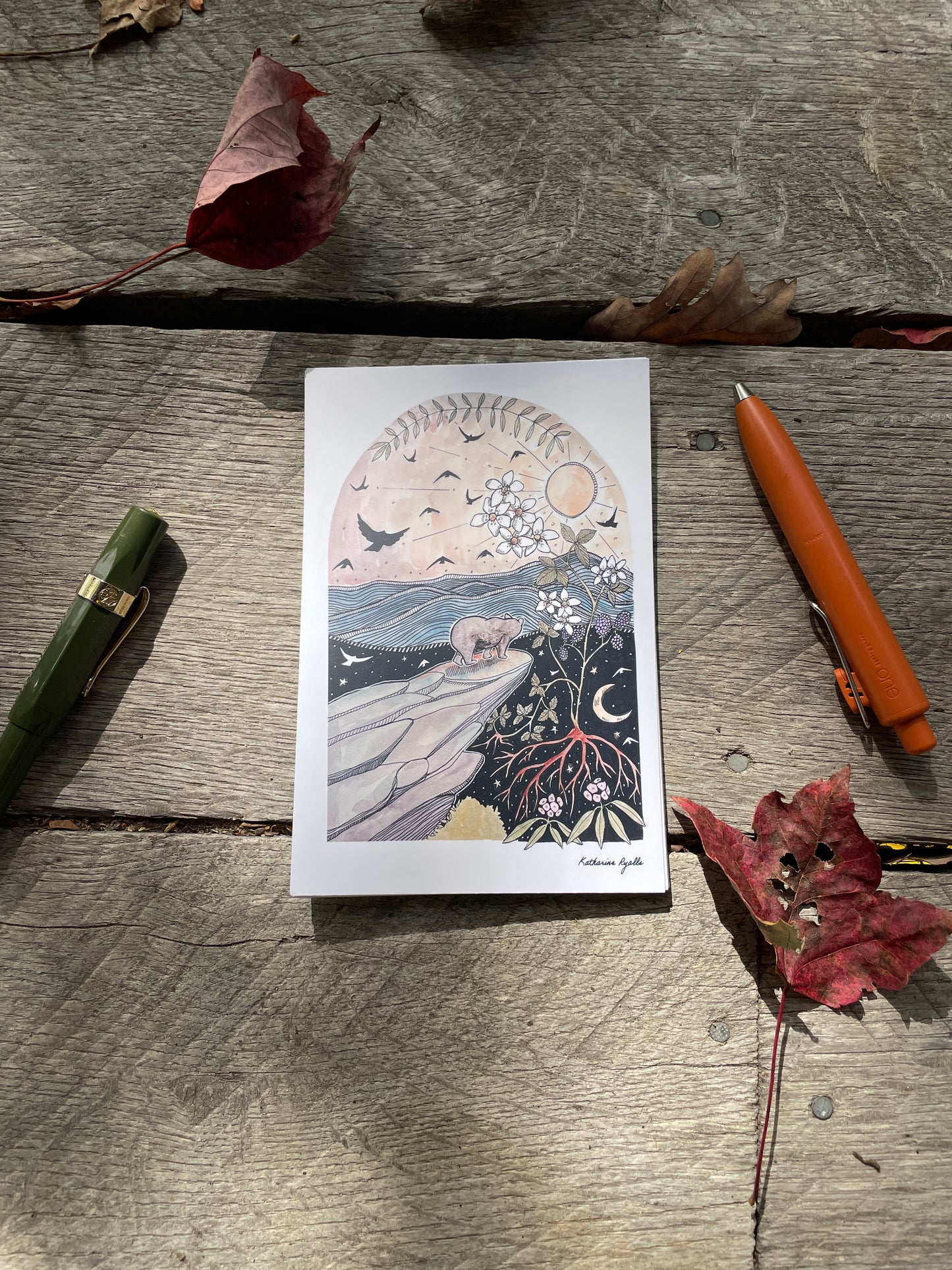 Rough Ridge Black Bear POSTCARD of plants and scenes the  Blue Ridge Mountains