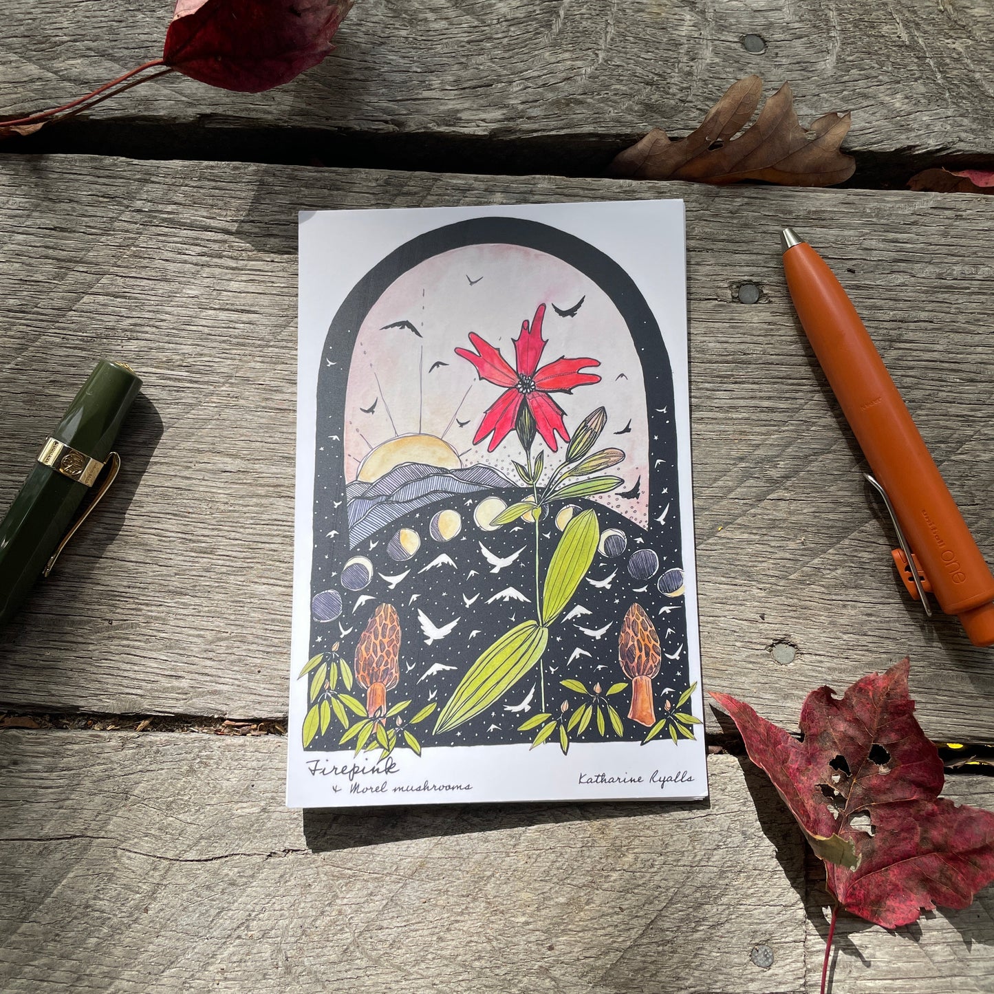 Morels and Fire Pink POSTCARD of plants and scenes the  Blue Ridge Mountains