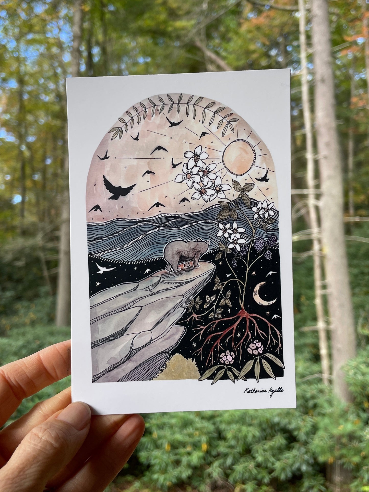 Rough Ridge Black Bear POSTCARD of plants and scenes the  Blue Ridge Mountains