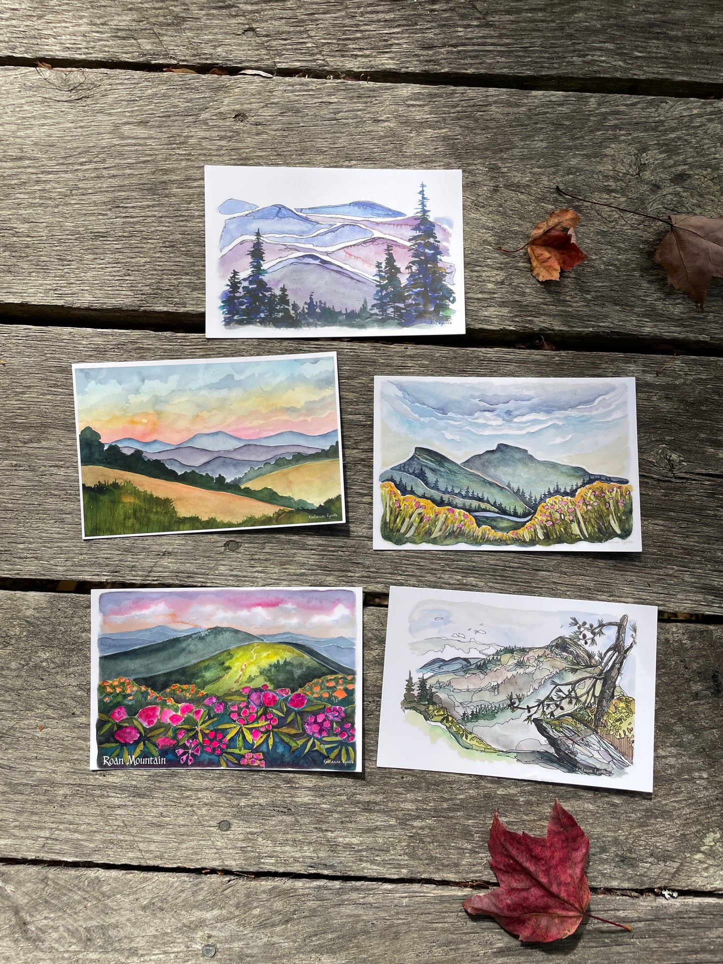 Blue Ridge Mountain Sunset POSTCARD scenes the  Blue Ridge Mountains