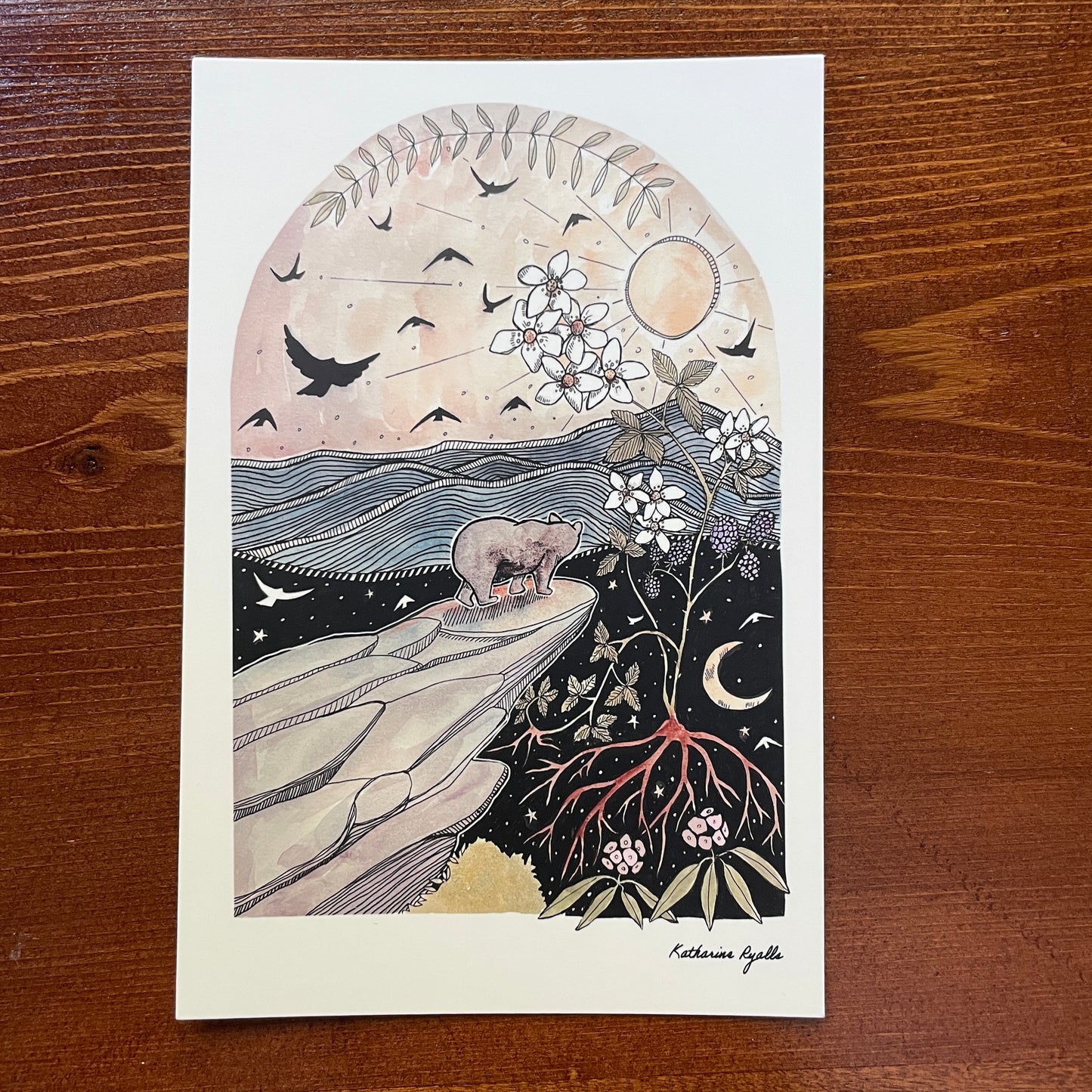 Rough Ridge Black Bear POSTCARD of plants and scenes the  Blue Ridge Mountains