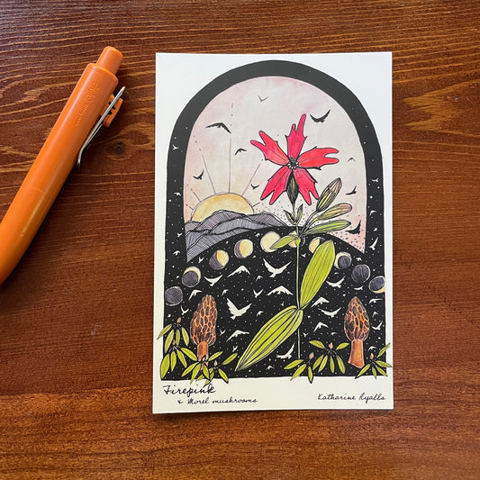 Morels and Fire Pink POSTCARD of plants and scenes the  Blue Ridge Mountains