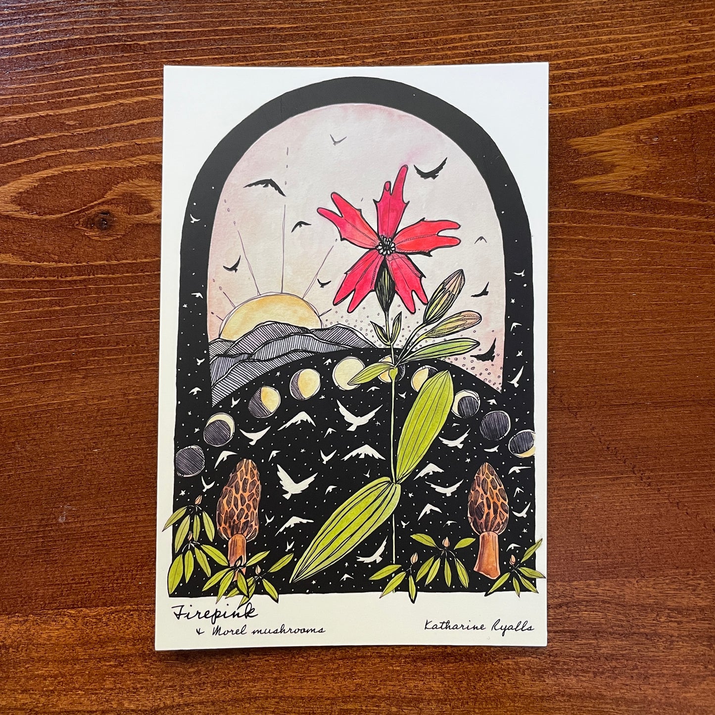 Morels and Fire Pink POSTCARD of plants and scenes the  Blue Ridge Mountains