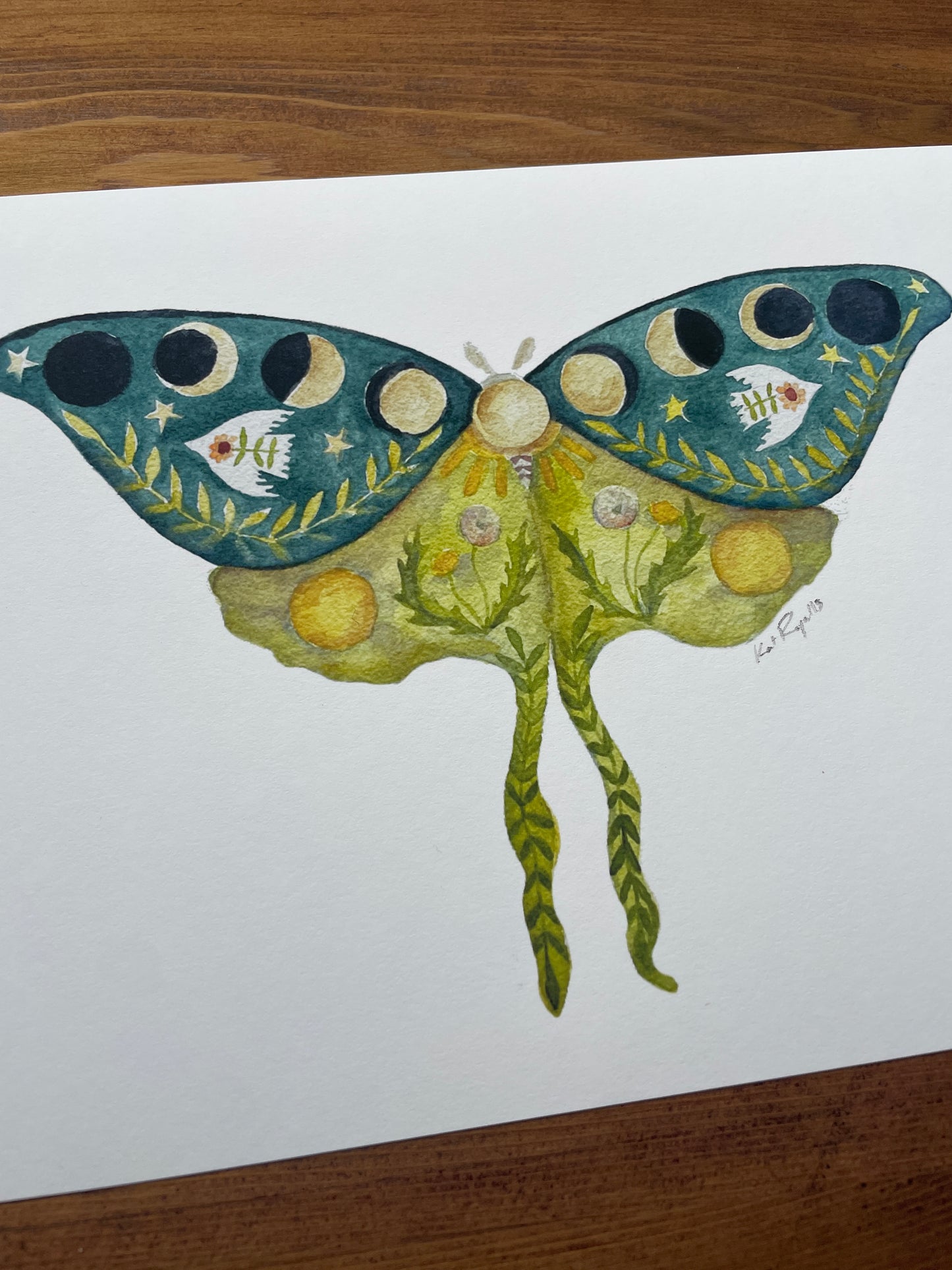 Luna Moth Peace Wings PRINT